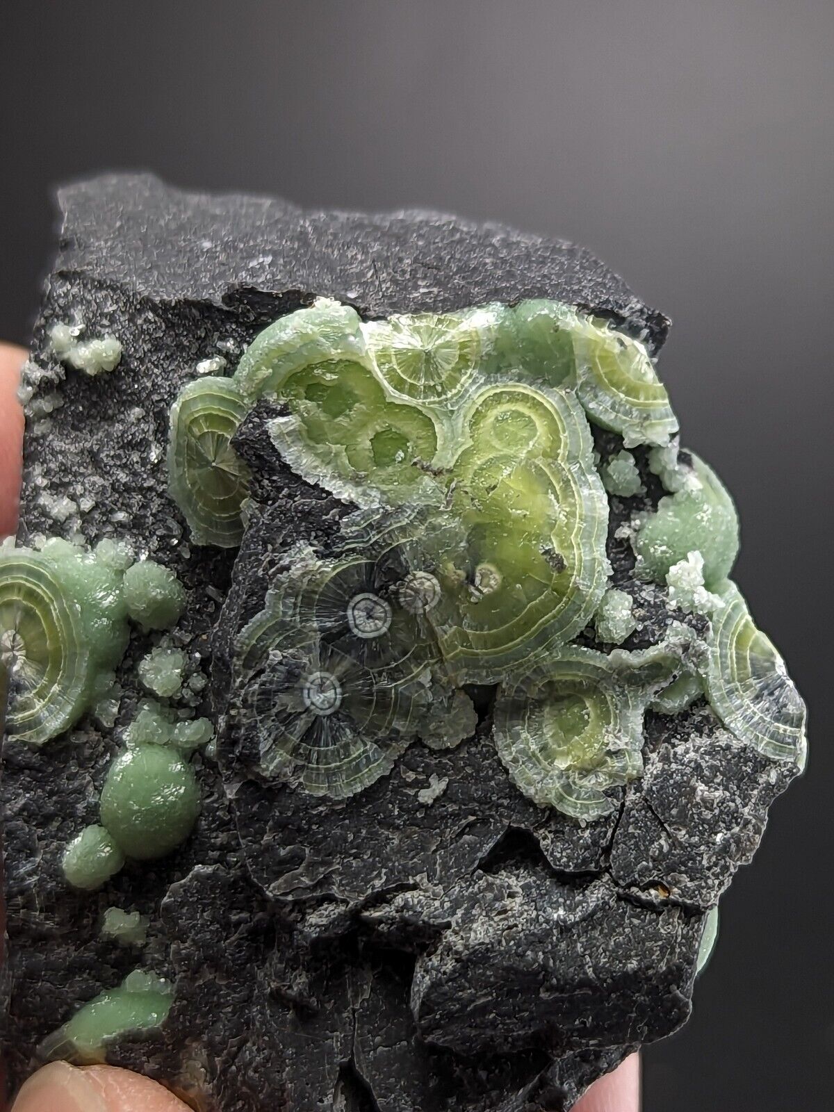 Wavellite - Fantastic Old Stock - Mauldin Mountain Arkansas ooak - Collectibles:Rocks Fossils & Minerals:Crystals