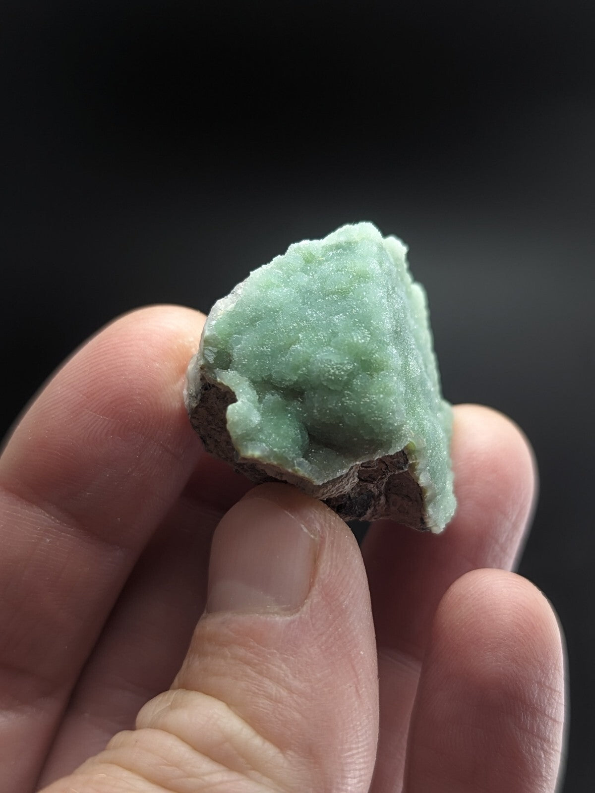 A pale green, textured mineral specimen with a rough, crystalline surface and dark brown rocky base.