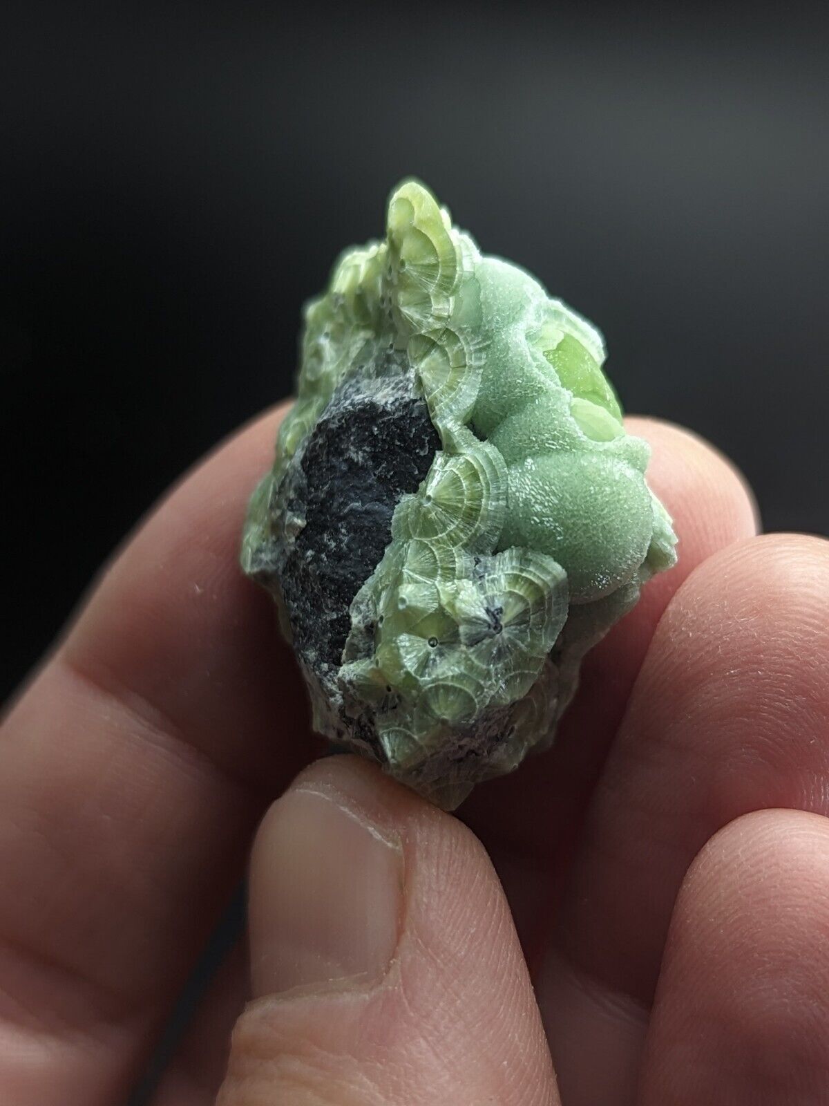 Wavellite - Fantastic Old Stock - Mauldin Mountain Arkansas ooak - Collectibles:Rocks Fossils & Minerals:Crystals