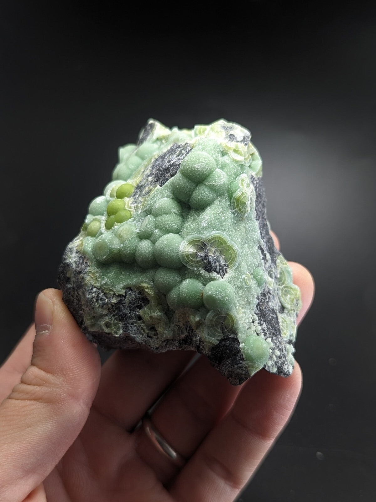 A hand holds a striking green mineral specimen featuring clusters of rounded, translucent beads embedded in a dark gray matrix.