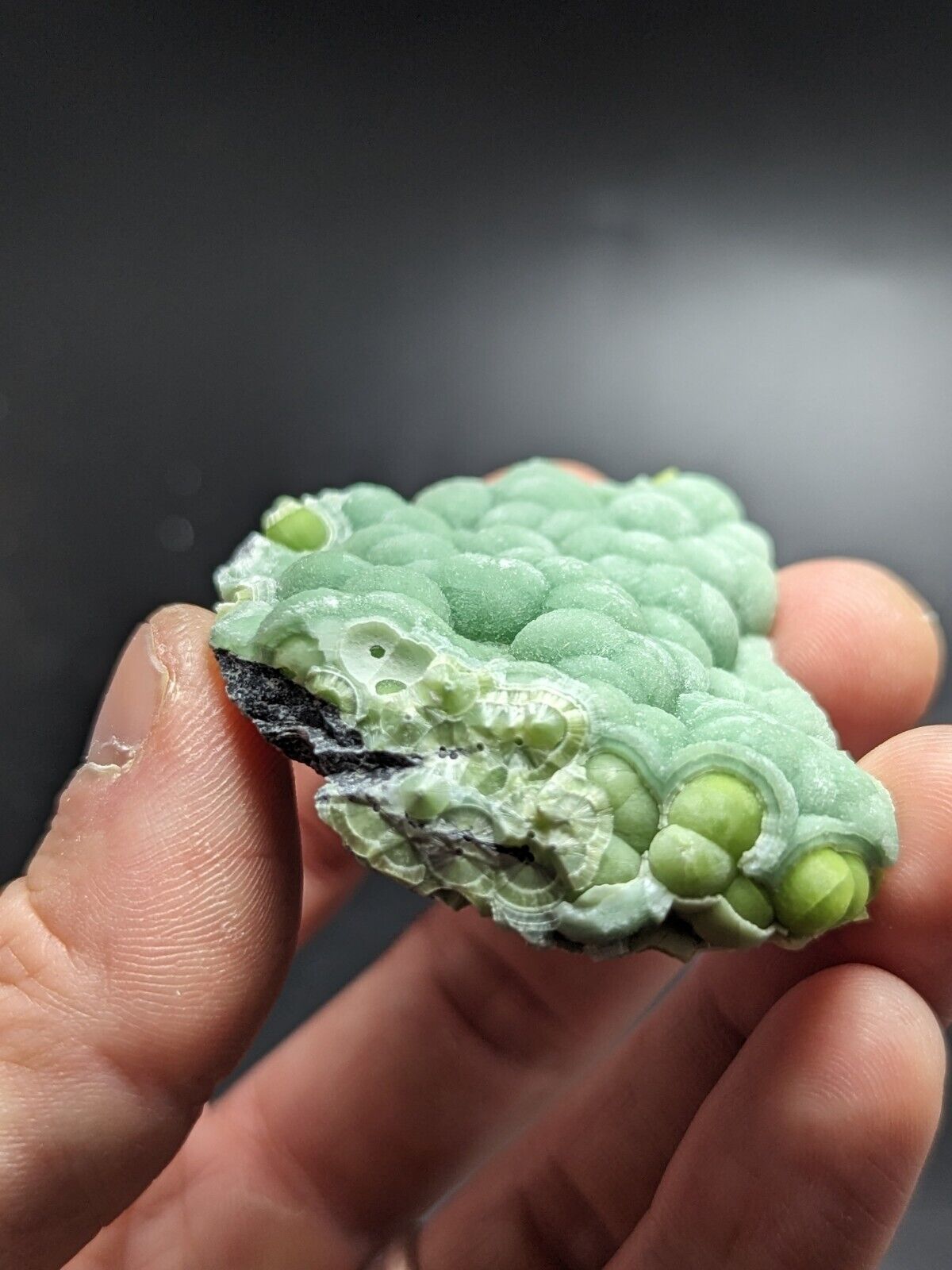 Wavellite - Fantastic Old Stock - Mauldin Mountain Arkansas ooak - Collectibles:Rocks Fossils & Minerals:Crystals