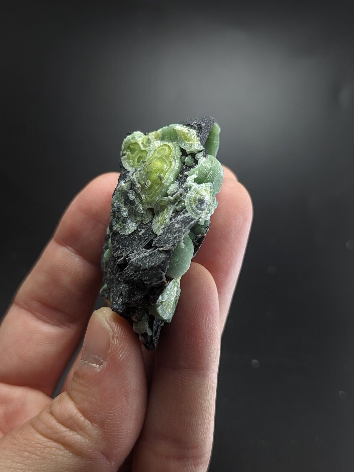 Wavellite - Fantastic Old Stock - Mauldin Mountain Arkansas ooak - Collectibles:Rocks Fossils & Minerals:Crystals