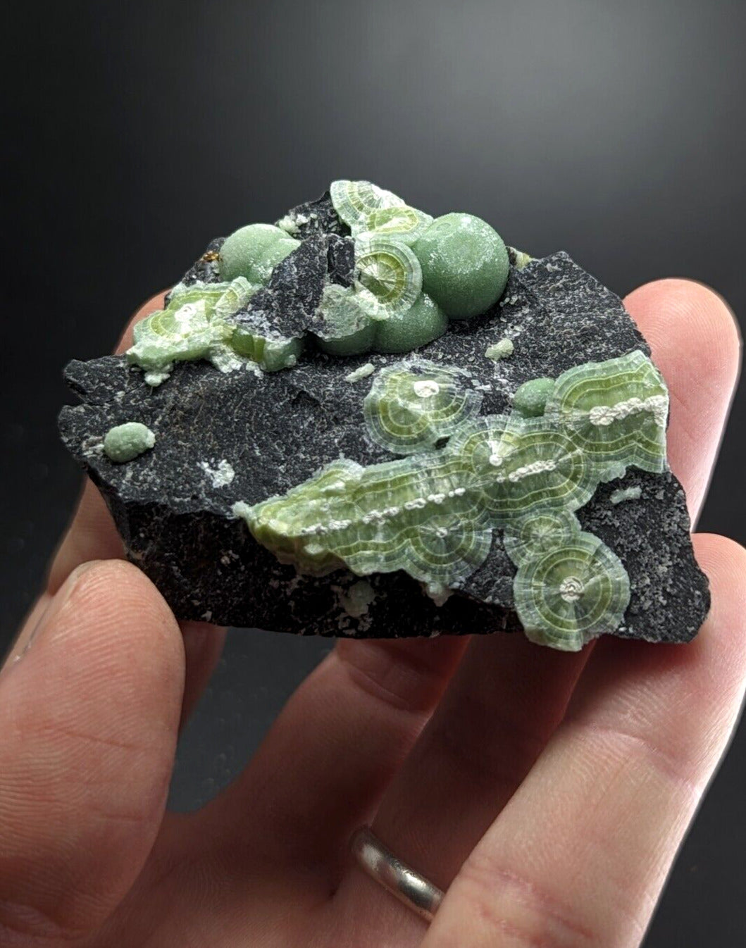 Wavellite - Fantastic Old Stock - Mauldin Mountain Arkansas ooak - Collectibles:Rocks Fossils & Minerals:Crystals