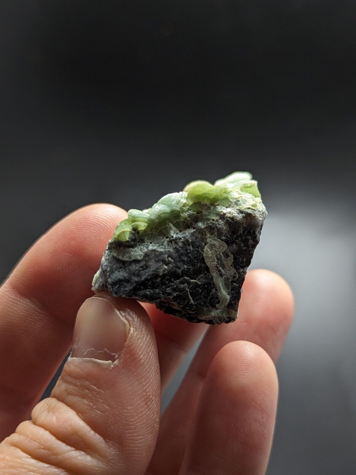 Wavellite - Fantastic Old Stock - Mauldin Mountain Arkansas ooak - Collectibles:Rocks Fossils & Minerals:Crystals