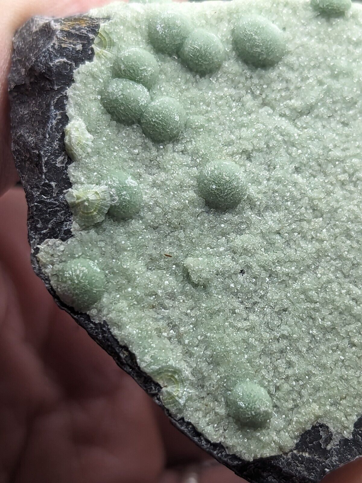 Wavellite - Fantastic Old Stock - Mauldin Mountain Arkansas ooak - Collectibles:Rocks Fossils & Minerals:Crystals