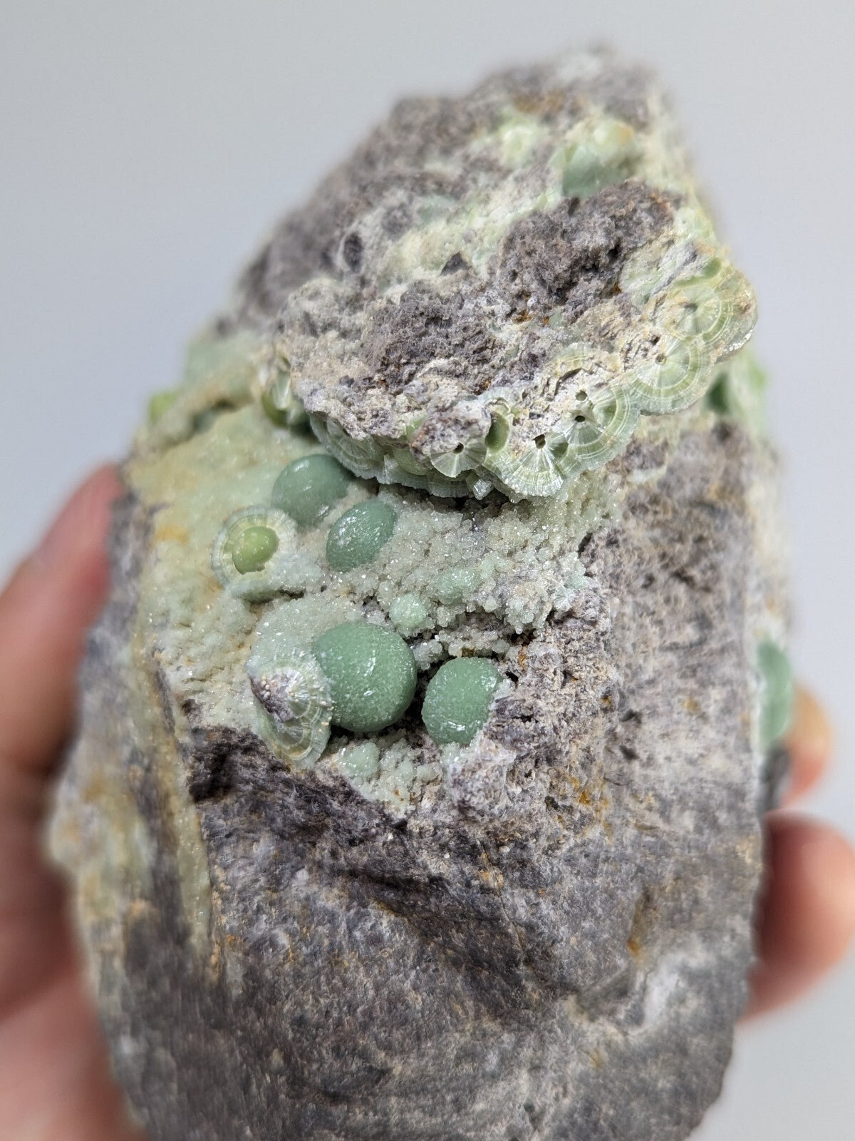 A rough, grayish rock specimen featuring clusters of translucent green spherical crystals embedded in its surface.