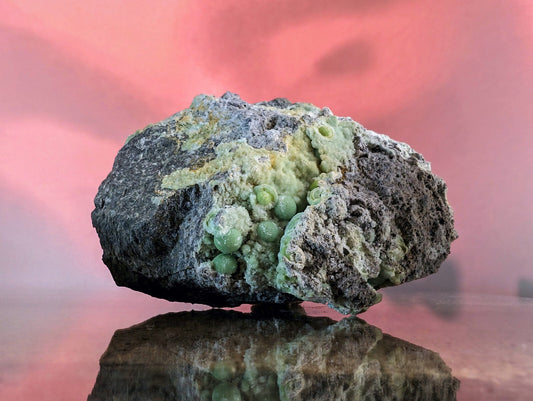 A striking dark gray rock specimen featuring clusters of vibrant green, bead-like mineral formations.
