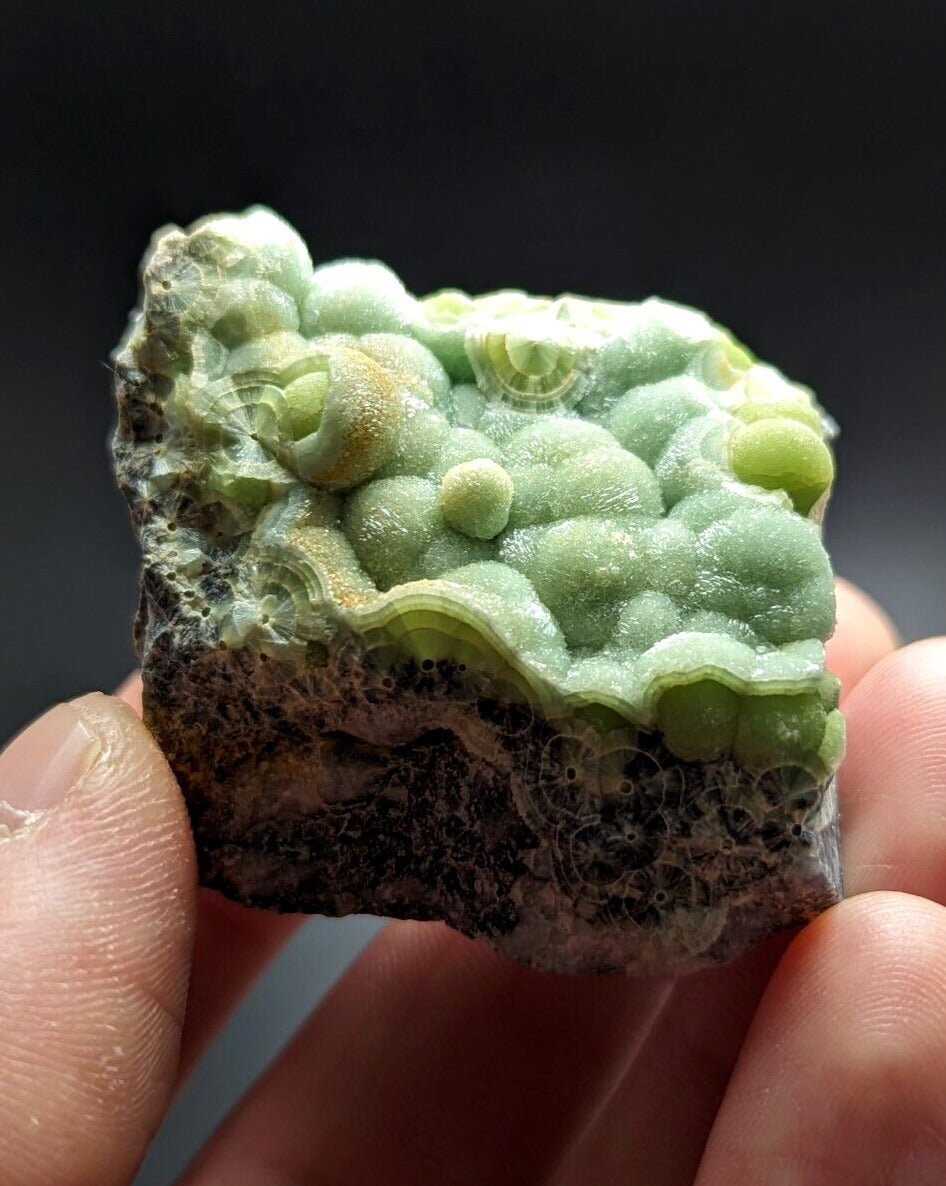 Wavellite - Fantastic Old Stock - Mauldin Mountain Arkansas ooak - Collectibles:Rocks Fossils & Minerals:Crystals