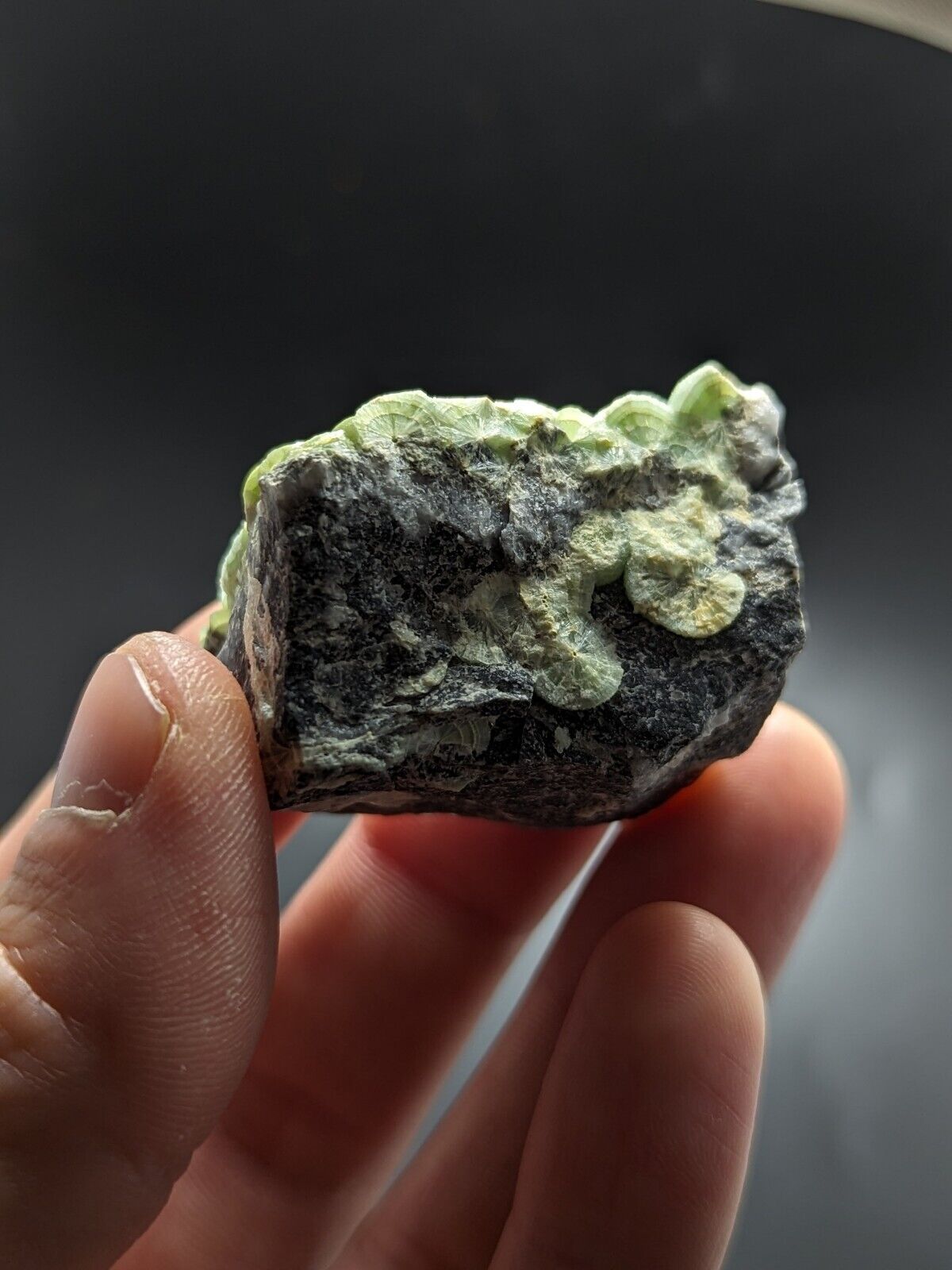 Wavellite - Fantastic Old Stock - Mauldin Mountain Arkansas ooak - Collectibles:Rocks Fossils & Minerals:Crystals