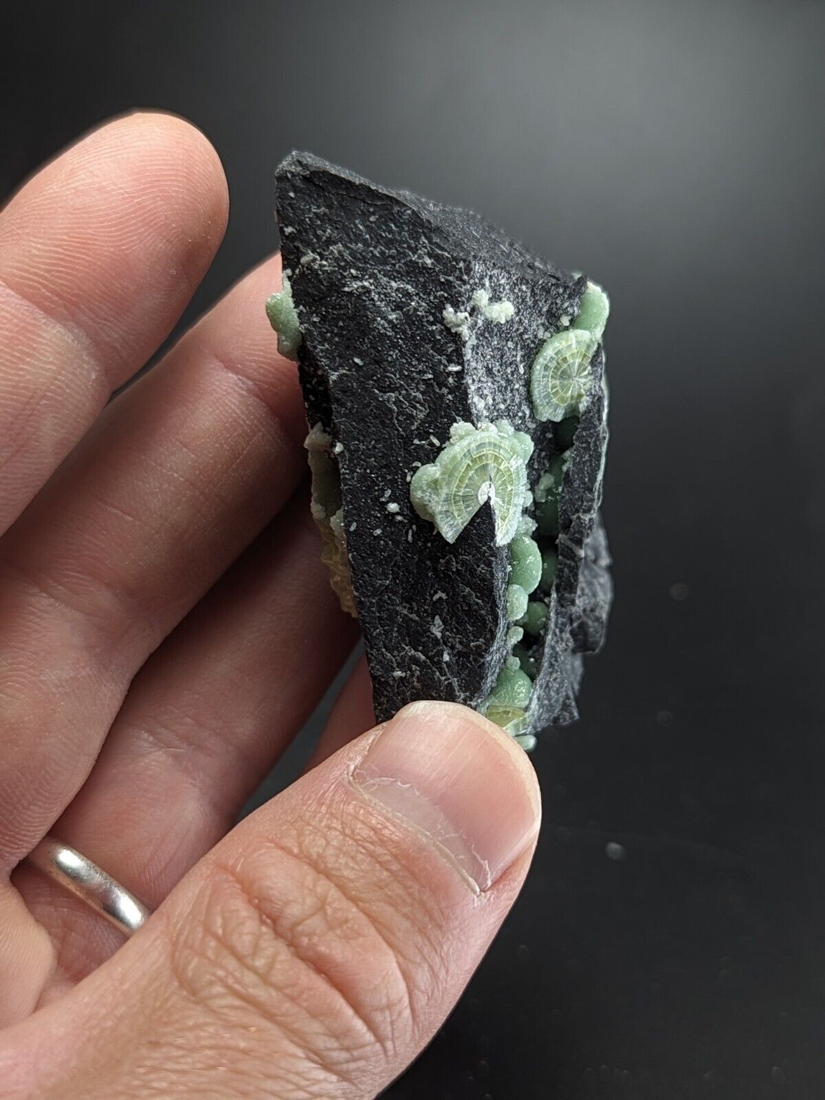 Wavellite - Fantastic Old Stock - Mauldin Mountain Arkansas ooak - Collectibles:Rocks Fossils & Minerals:Crystals
