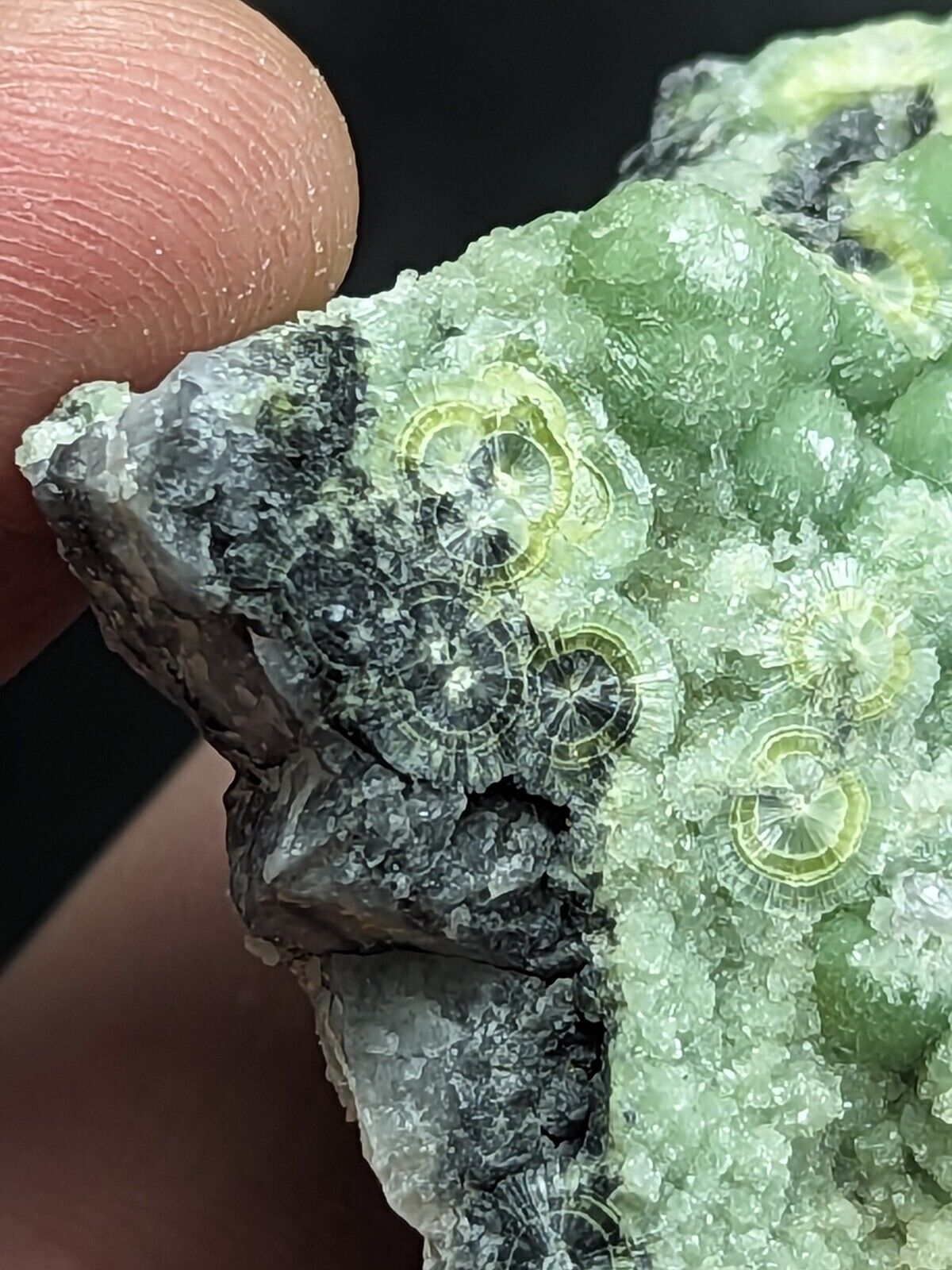 Wavellite - Fantastic Old Stock - Mauldin Mountain Arkansas ooak - Collectibles:Rocks Fossils & Minerals:Crystals