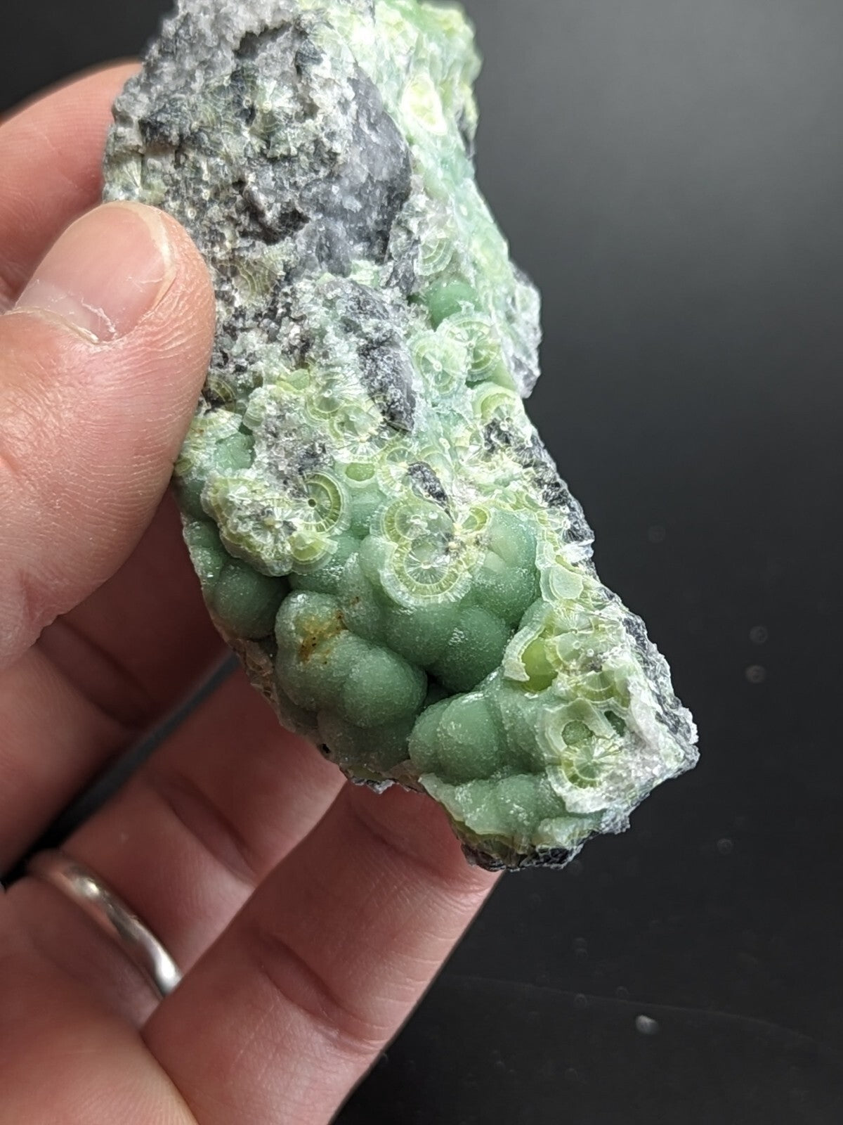 A hand holds a rough, irregularly shaped piece of greenish-gray fossilized coral with rounded, bulbous formations and translucent, crystalline textures.