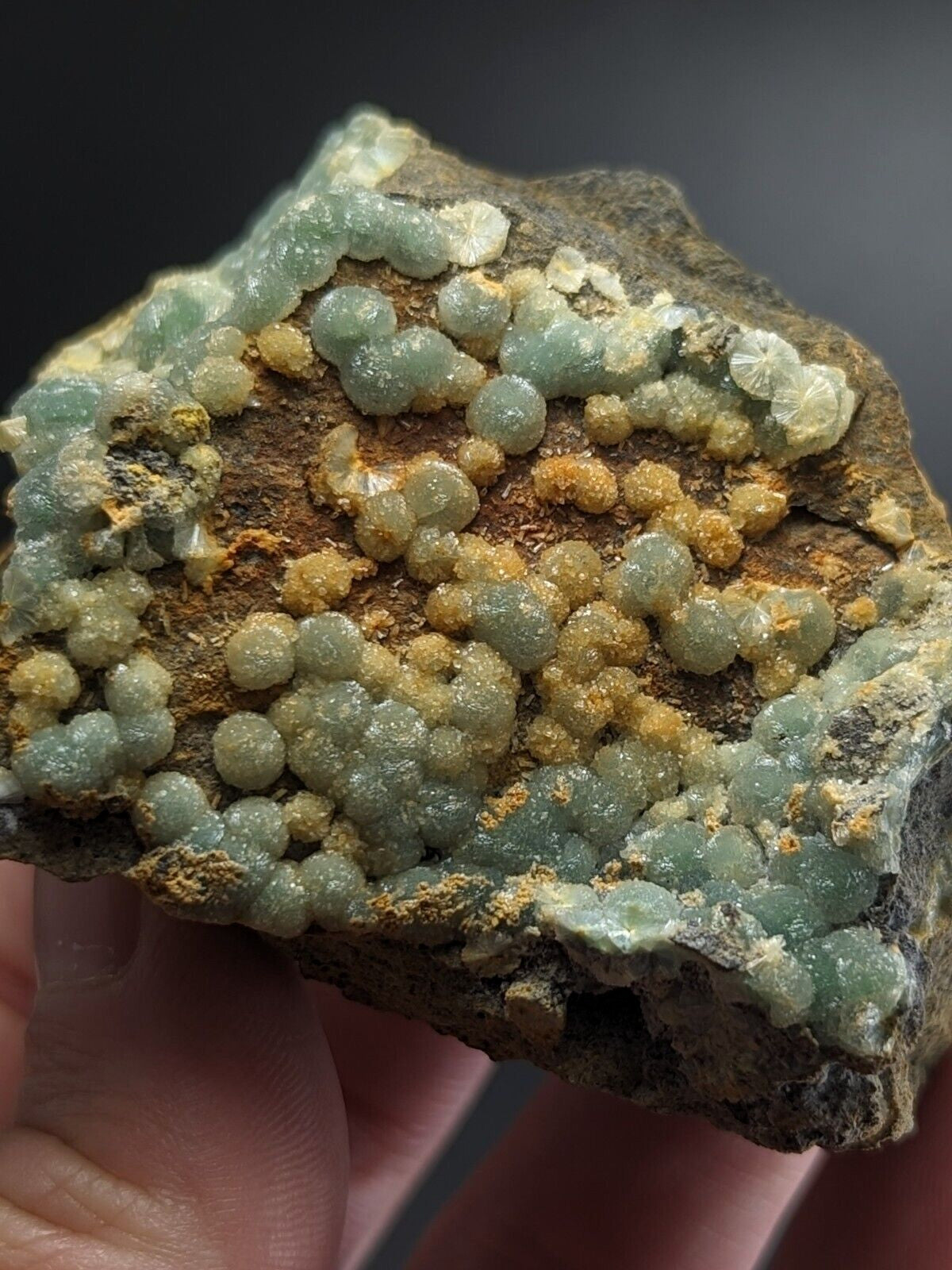 A hand holds a geological specimen featuring clusters of translucent, light green and pale yellow spherical crystals growing on a rough, dark brown rock matrix.