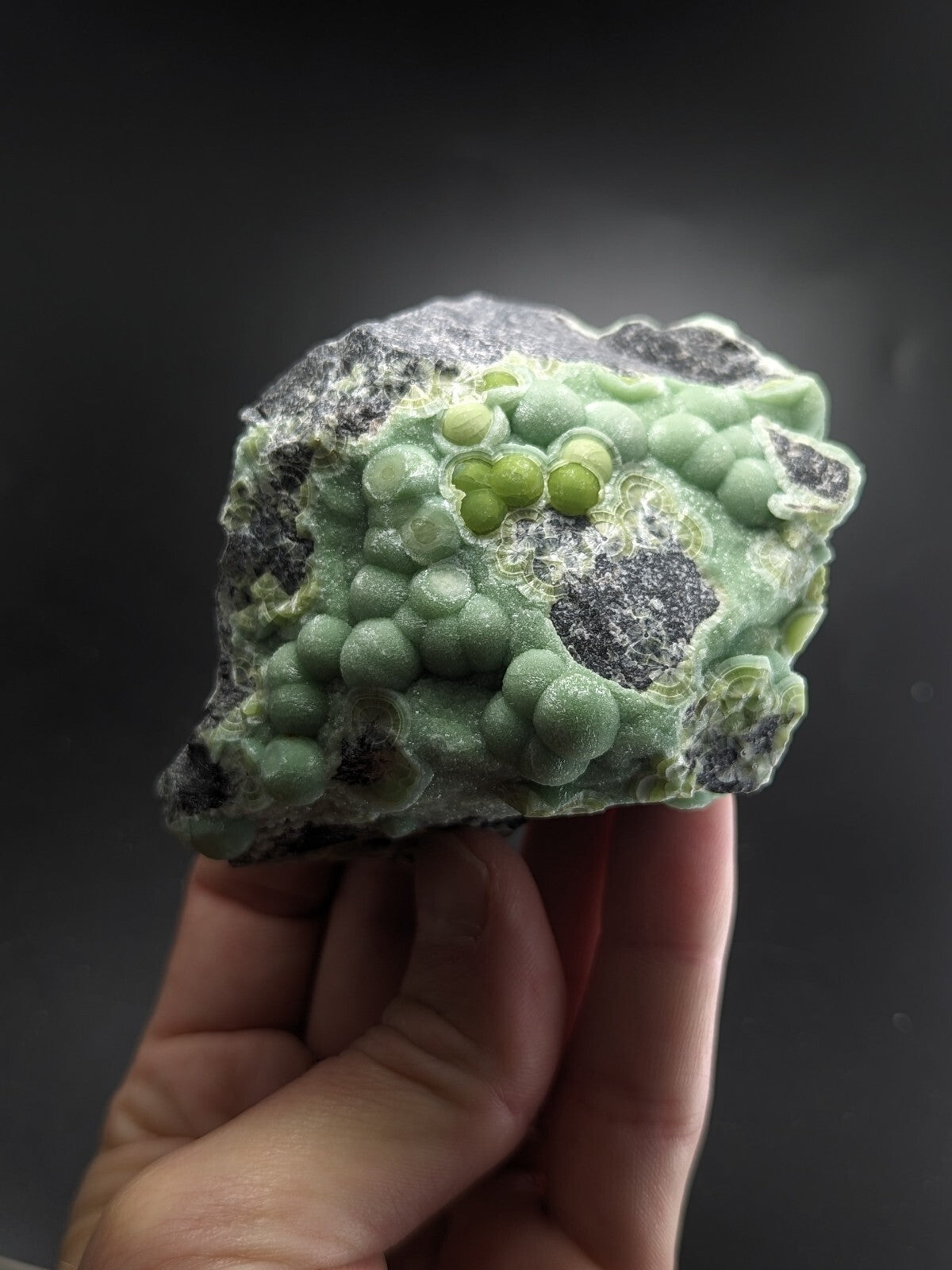 A hand holds a striking green mineral specimen featuring clusters of rounded, bead-like formations against a contrasting dark gray matrix.