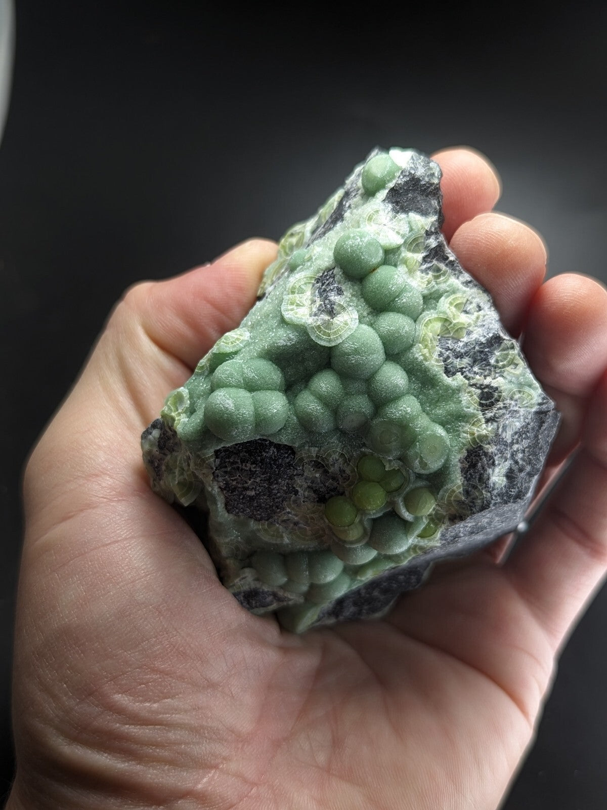 A hand holds a dark gray rock specimen featuring clusters of translucent, light green spherical crystals.