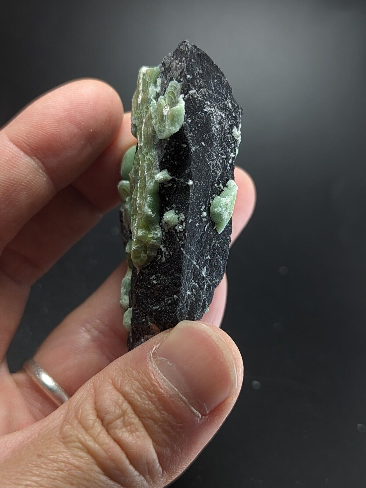 Wavellite - Fantastic Old Stock - Mauldin Mountain Arkansas ooak - Collectibles:Rocks Fossils & Minerals:Crystals