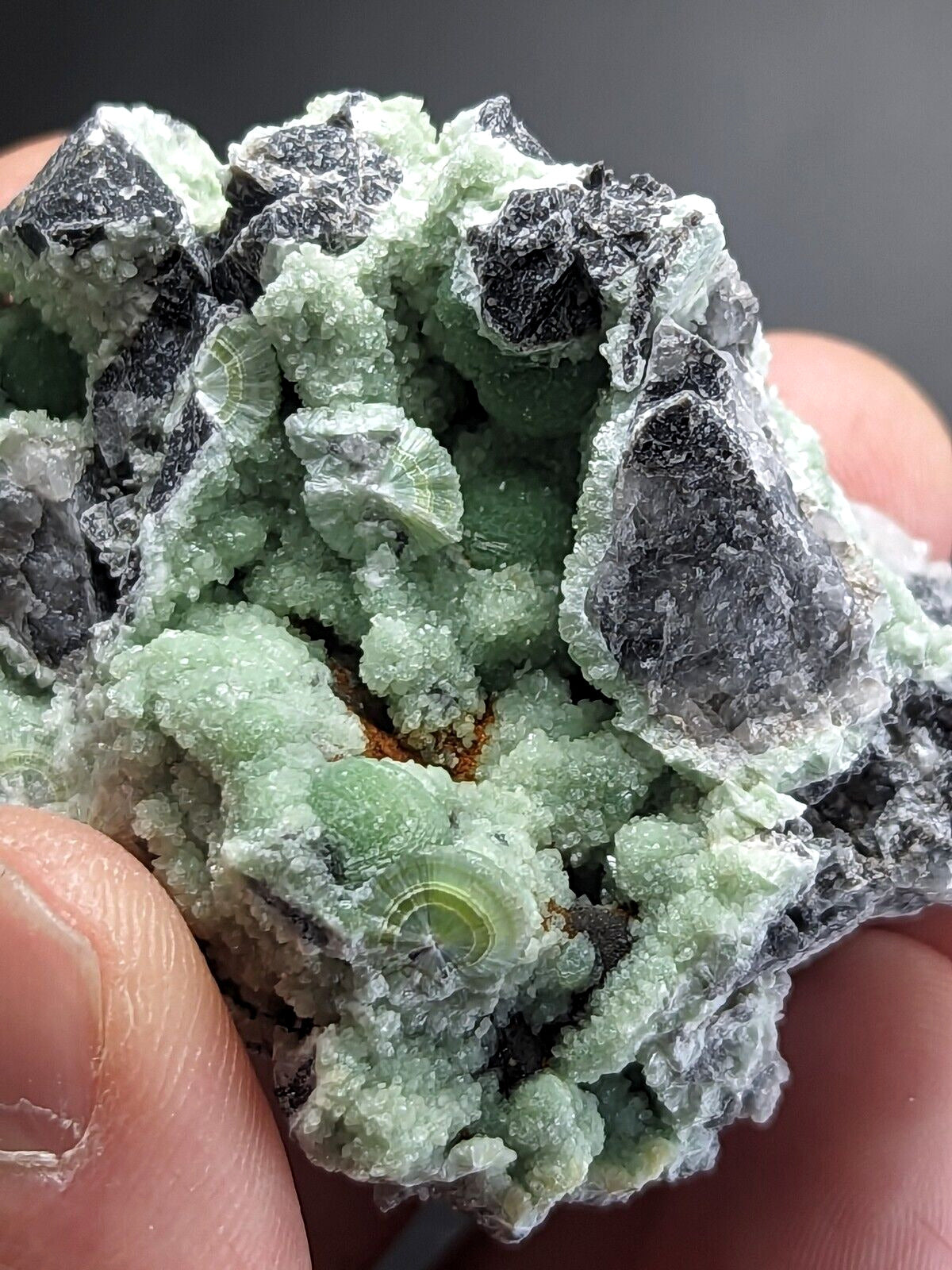 Wavellite - Fantastic Old Stock - Mauldin Mountain Arkansas ooak - Collectibles:Rocks Fossils & Minerals:Crystals