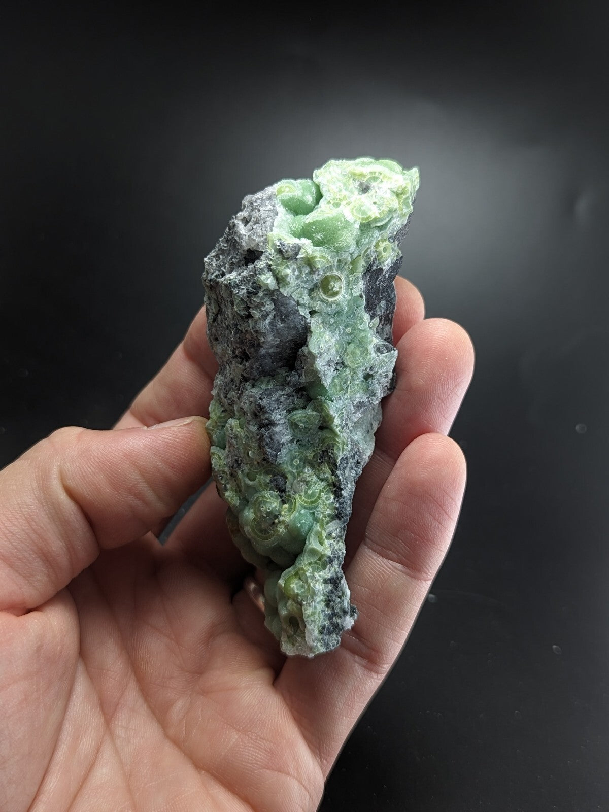A hand holds a rough, irregularly shaped piece of green and gray mineral with visible circular cavities.