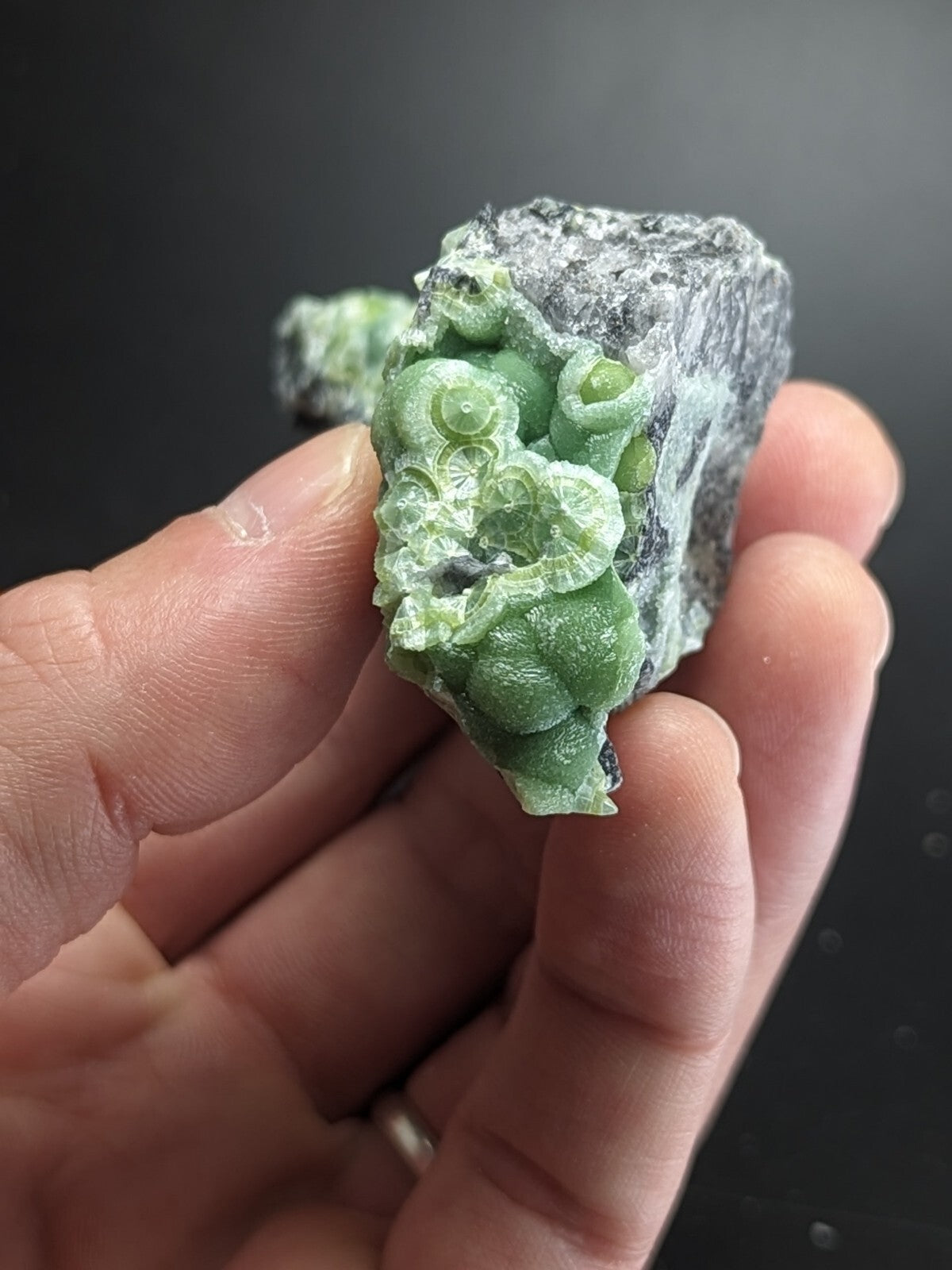 A hand holds a piece of green fossilized coral embedded in dark, rough-textured rock.