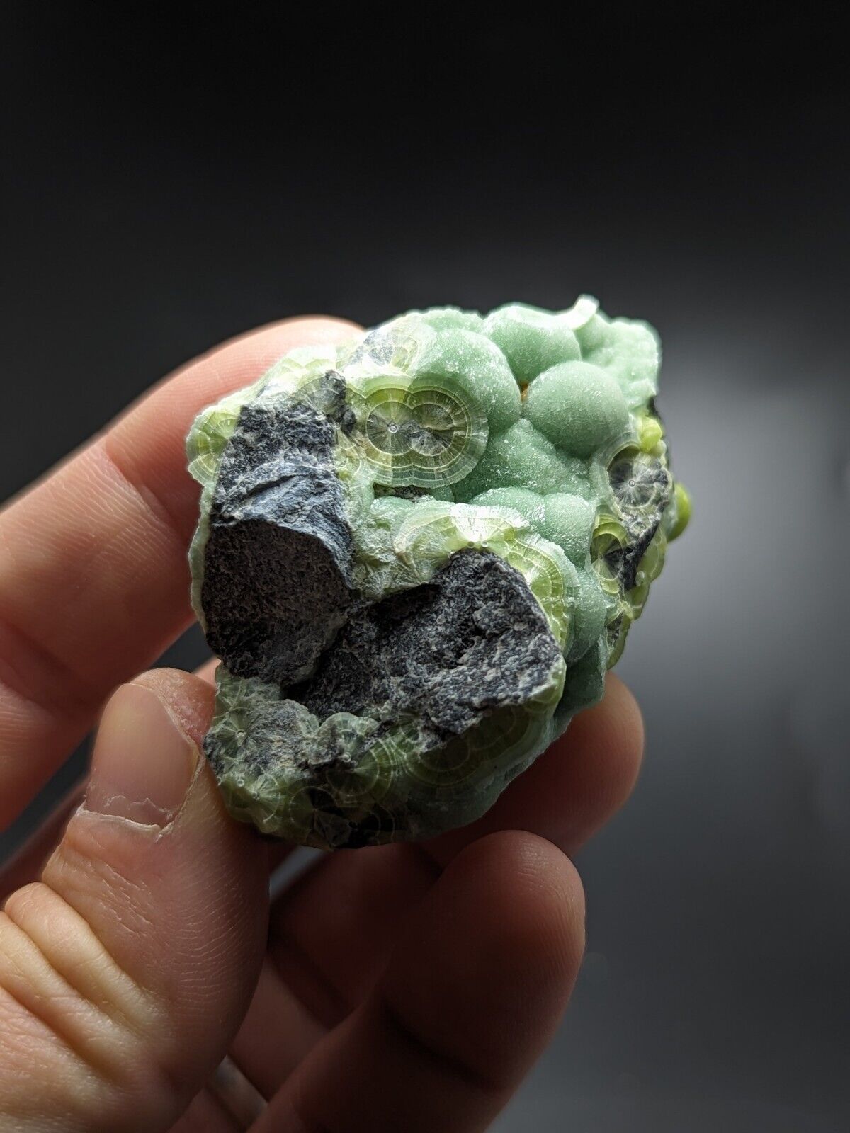 Wavellite - Fantastic Old Stock - Mauldin Mountain Arkansas ooak - Collectibles:Rocks Fossils & Minerals:Crystals