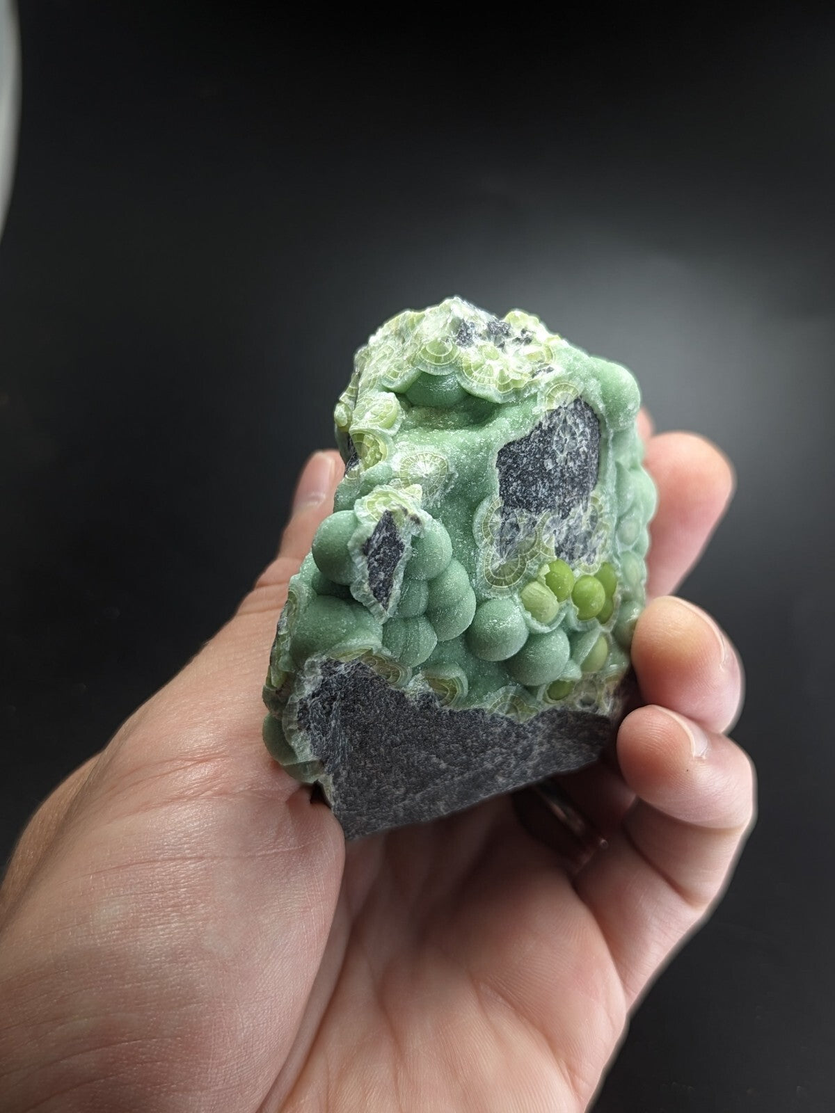A hand holds a green mineral specimen featuring clusters of rounded, bead-like formations over a dark gray base.