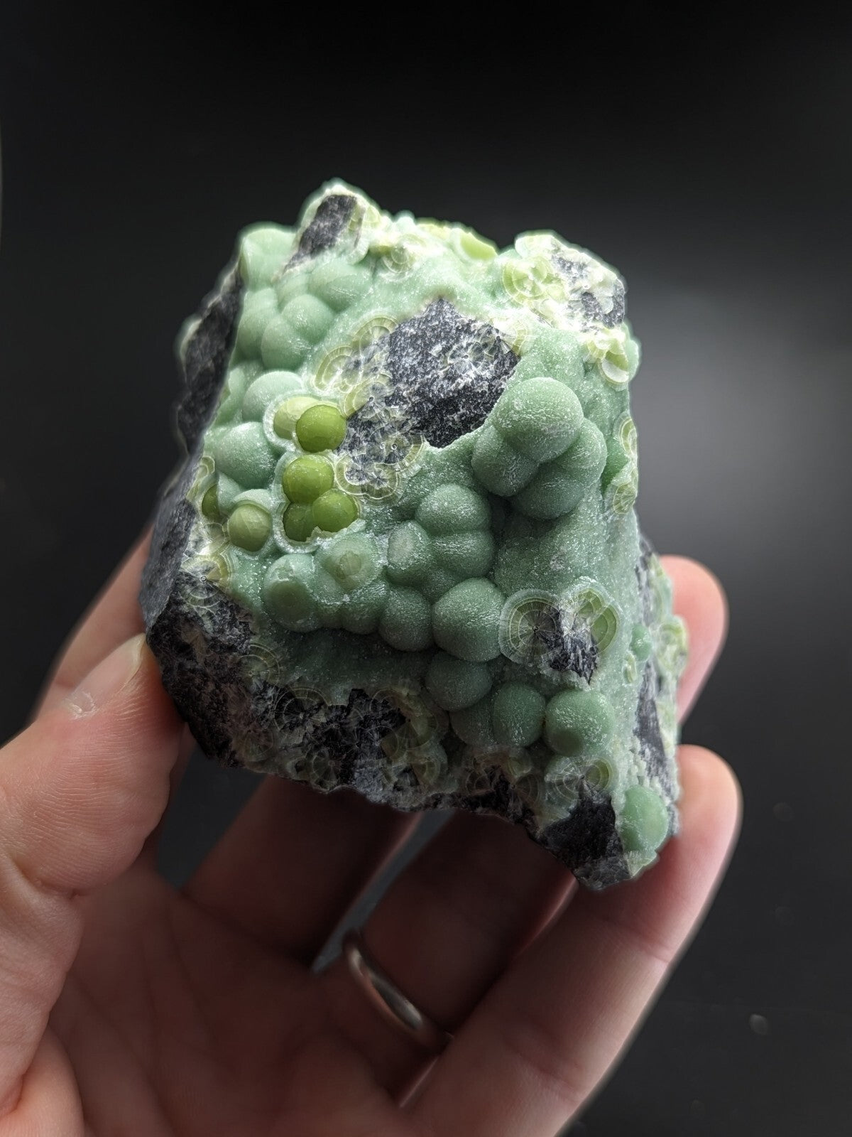 A hand holds a striking green and black mineral specimen featuring clusters of translucent, bubble-like formations.
