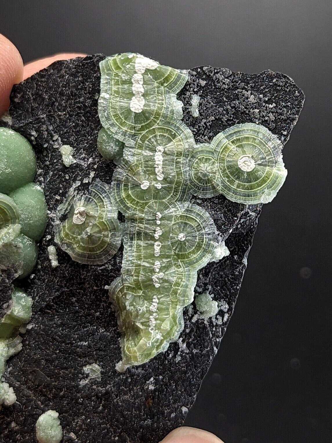Wavellite - Fantastic Old Stock - Mauldin Mountain Arkansas ooak - Collectibles:Rocks Fossils & Minerals:Crystals