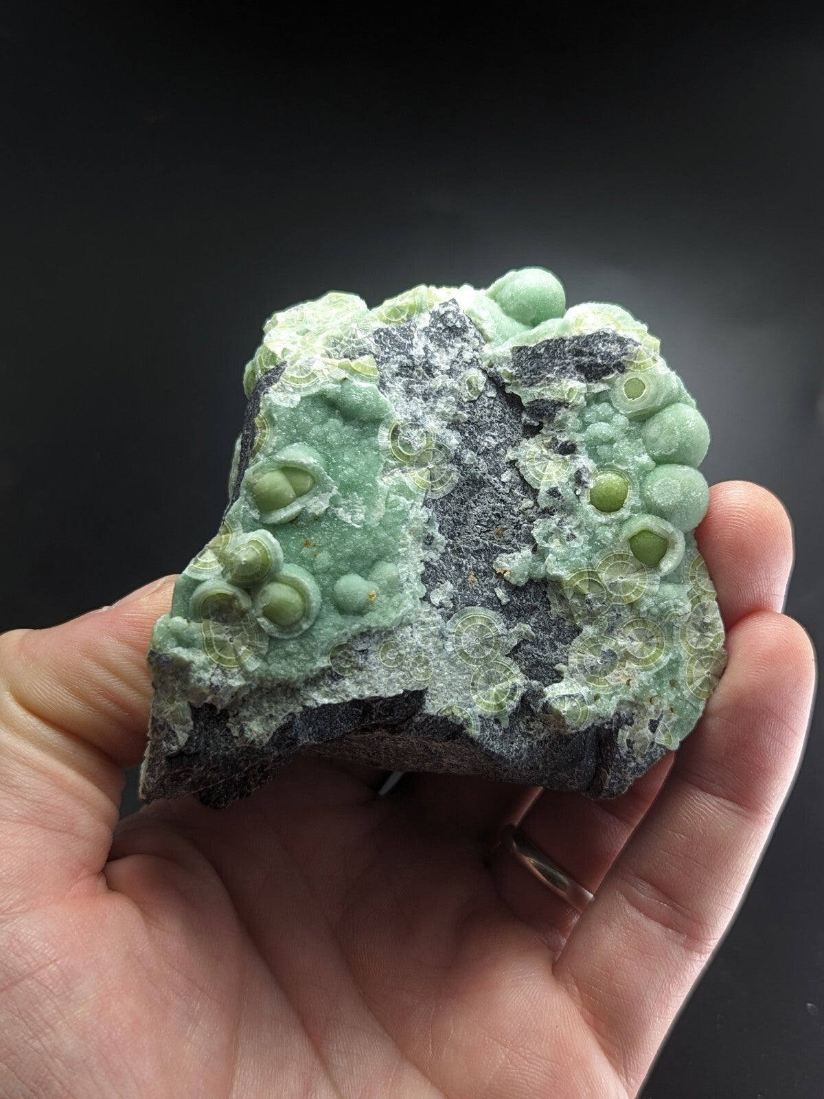 A hand holds a striking green and black mineral specimen featuring rounded, bubble-like formations with intricate crystalline textures.