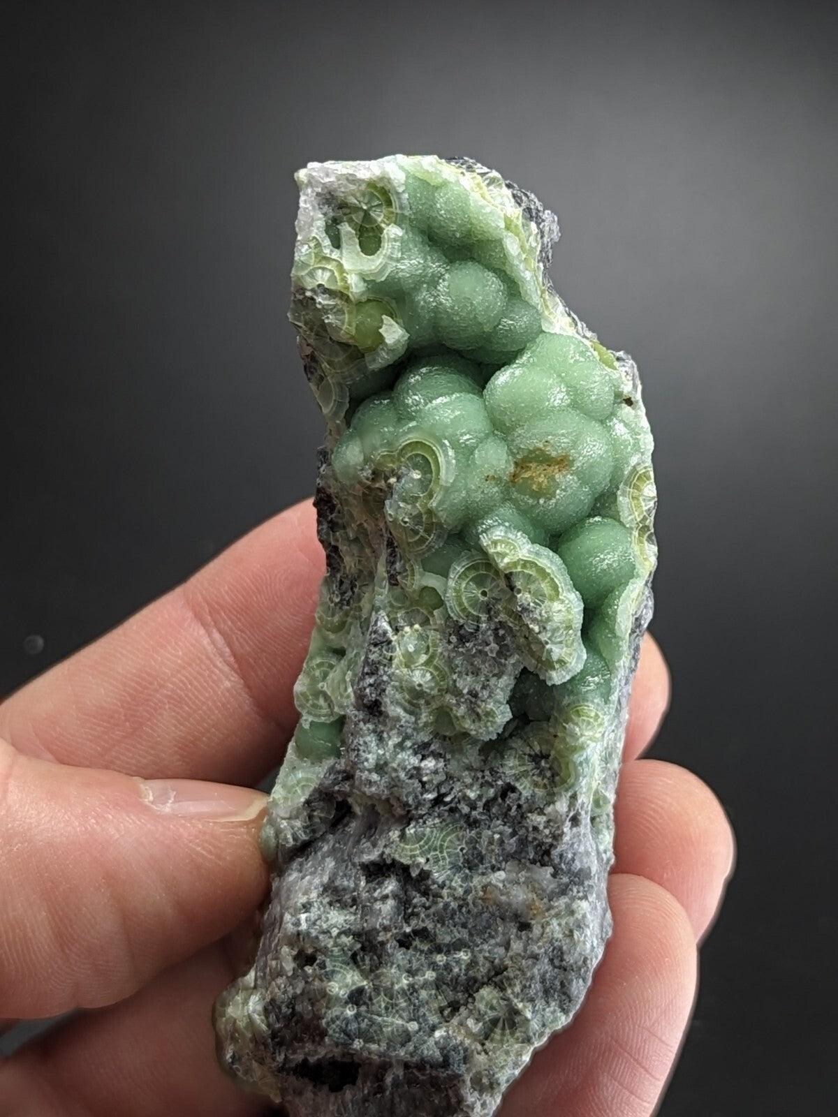 A hand holds a green, translucent mineral specimen featuring intricate, bubble-like formations with spiral patterns embedded in a rough, grayish matrix.