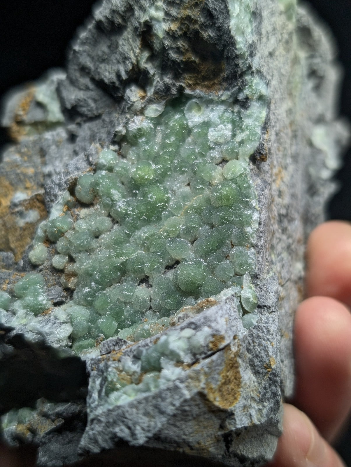 A cluster of translucent green crystals grows densely on a rough, grayish rock matrix.