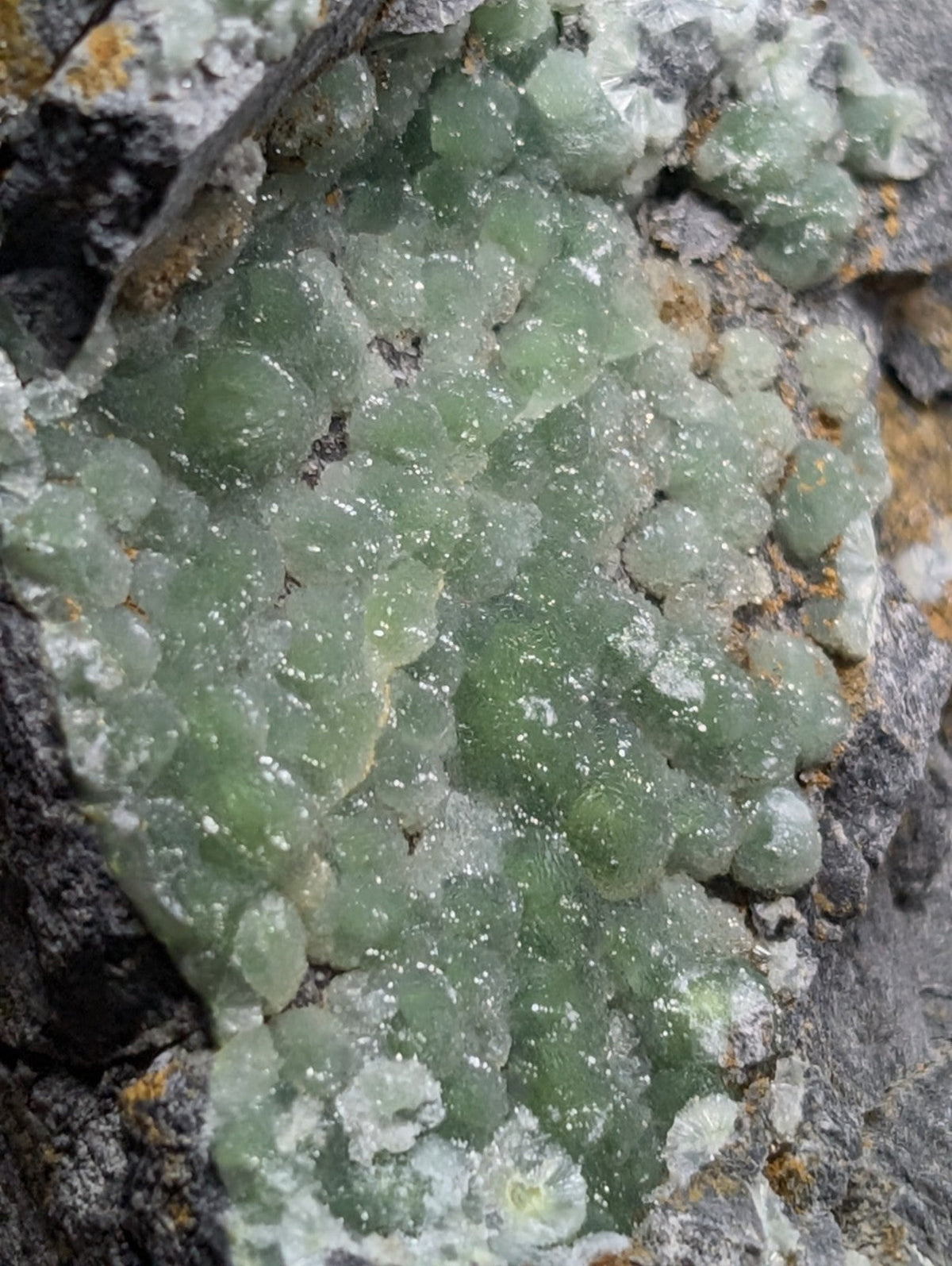 A cluster of translucent green crystals growing from a rough, gray rock surface.