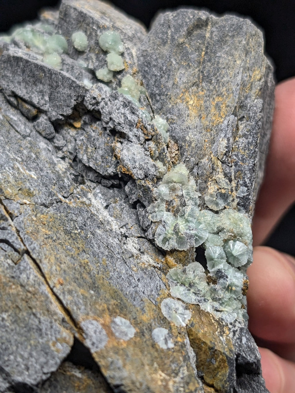 A gray rock specimen featuring translucent, light green crystalline formations with a rough, textured surface.