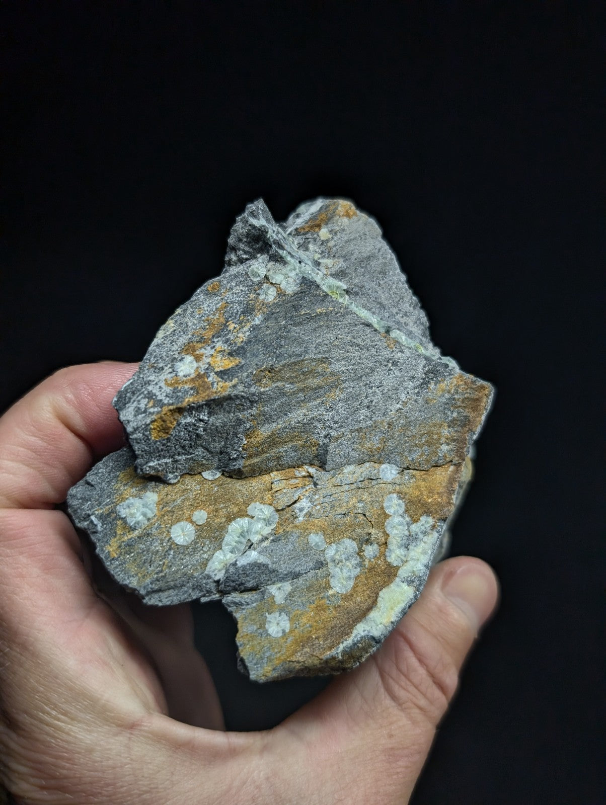 A rugged, irregularly shaped rock with a gray base and patches of orange and white lichen.