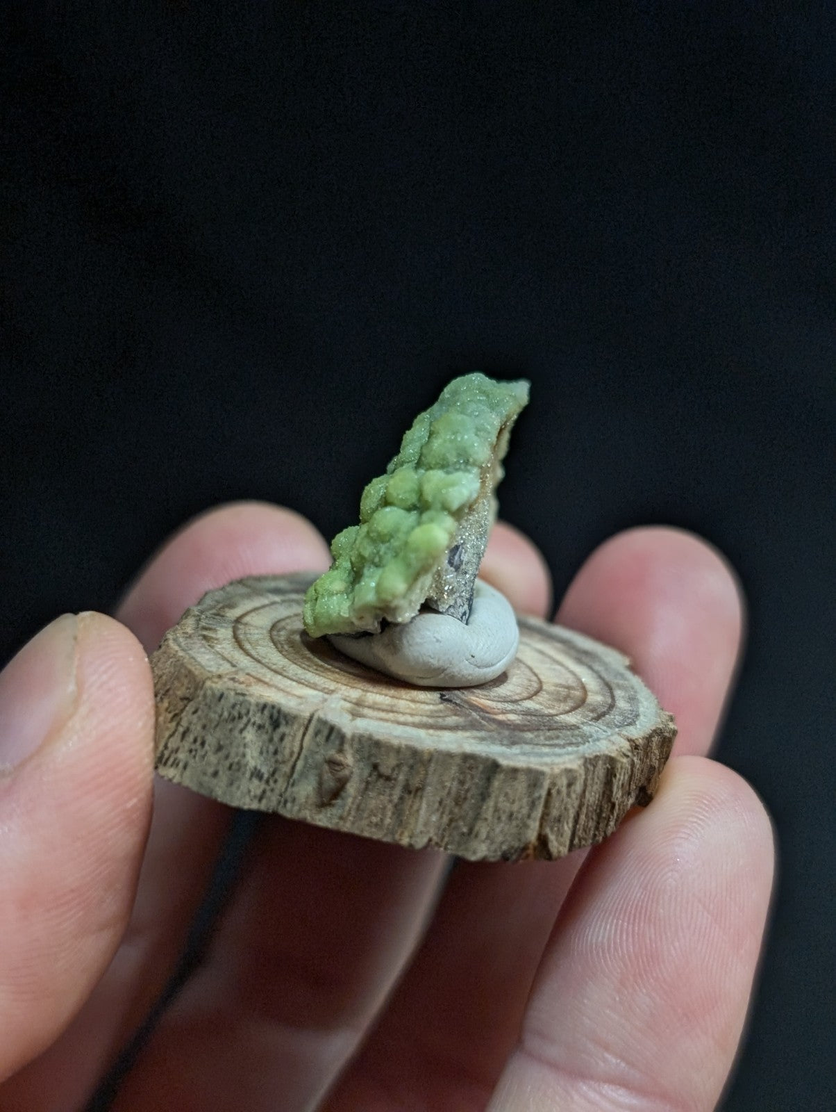 A vibrant green, bumpy mineral specimen with a rough texture sits atop a smooth white stone, which is mounted on a rustic wooden slice held in someone’s hand.