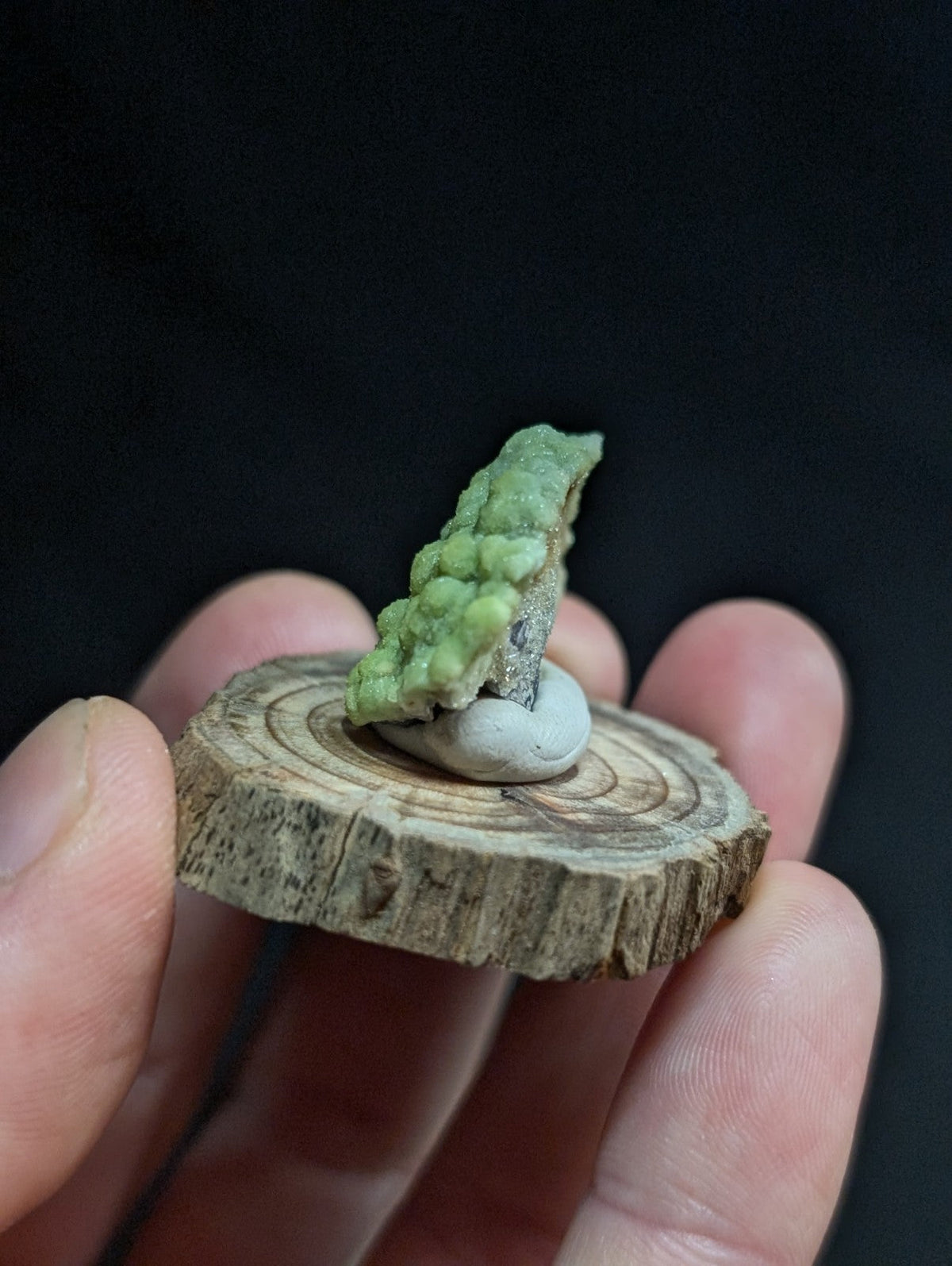 A vibrant green, bumpy mineral specimen with a rough texture sits atop a smooth white stone, which is mounted on a rustic wooden slice held in someone’s hand.