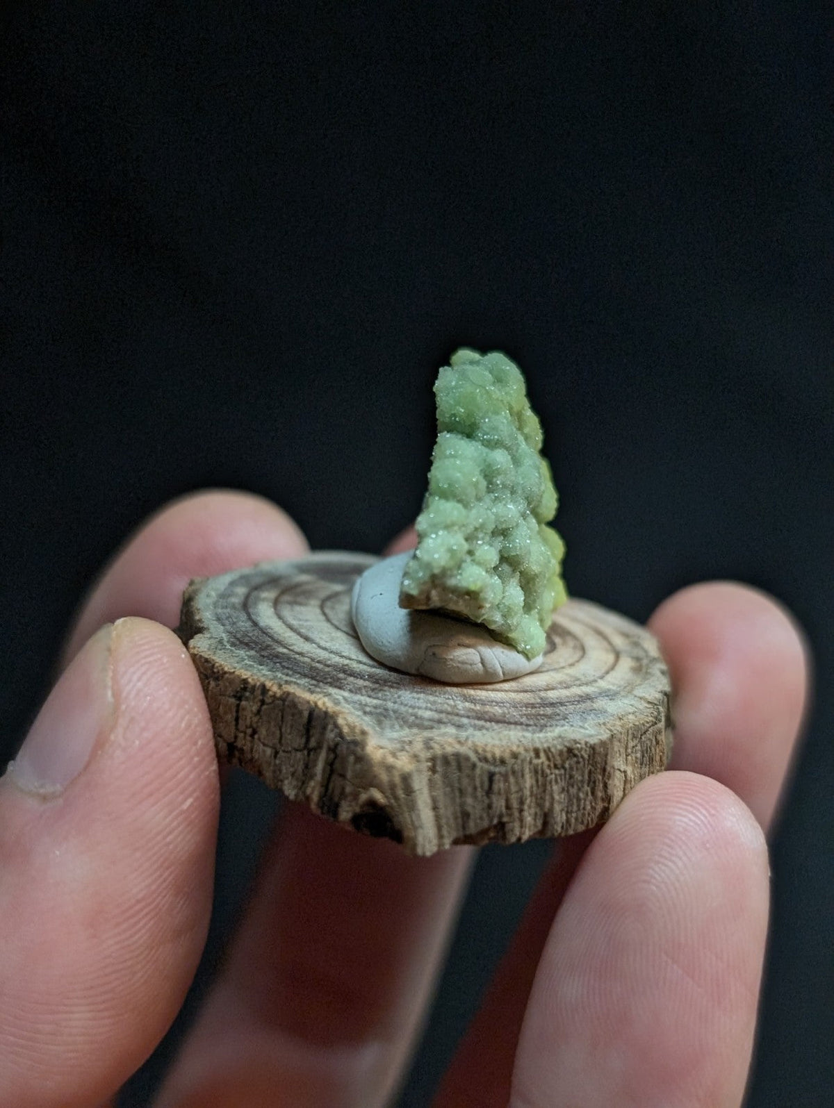 A delicate green mineral specimen with a crystalline, textured surface rests atop a small, circular wooden slice.