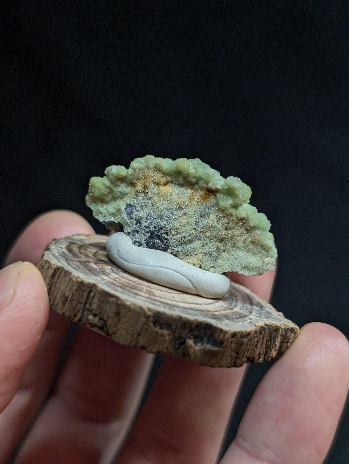 A delicate, pale gray ceramic slug rests atop a rustic wooden slice beneath a textured green and brown mineral formation.