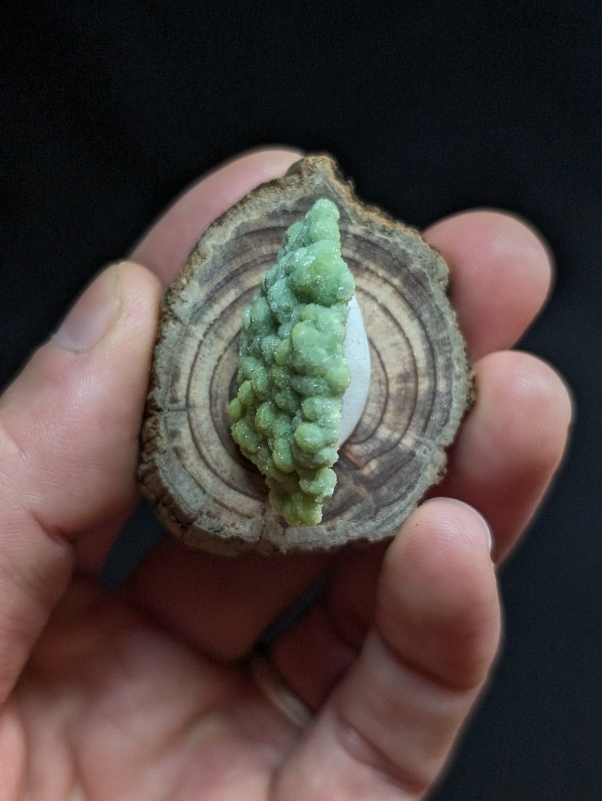 A vibrant green, crystalline mineral formation nestled within a circular slice of wood.