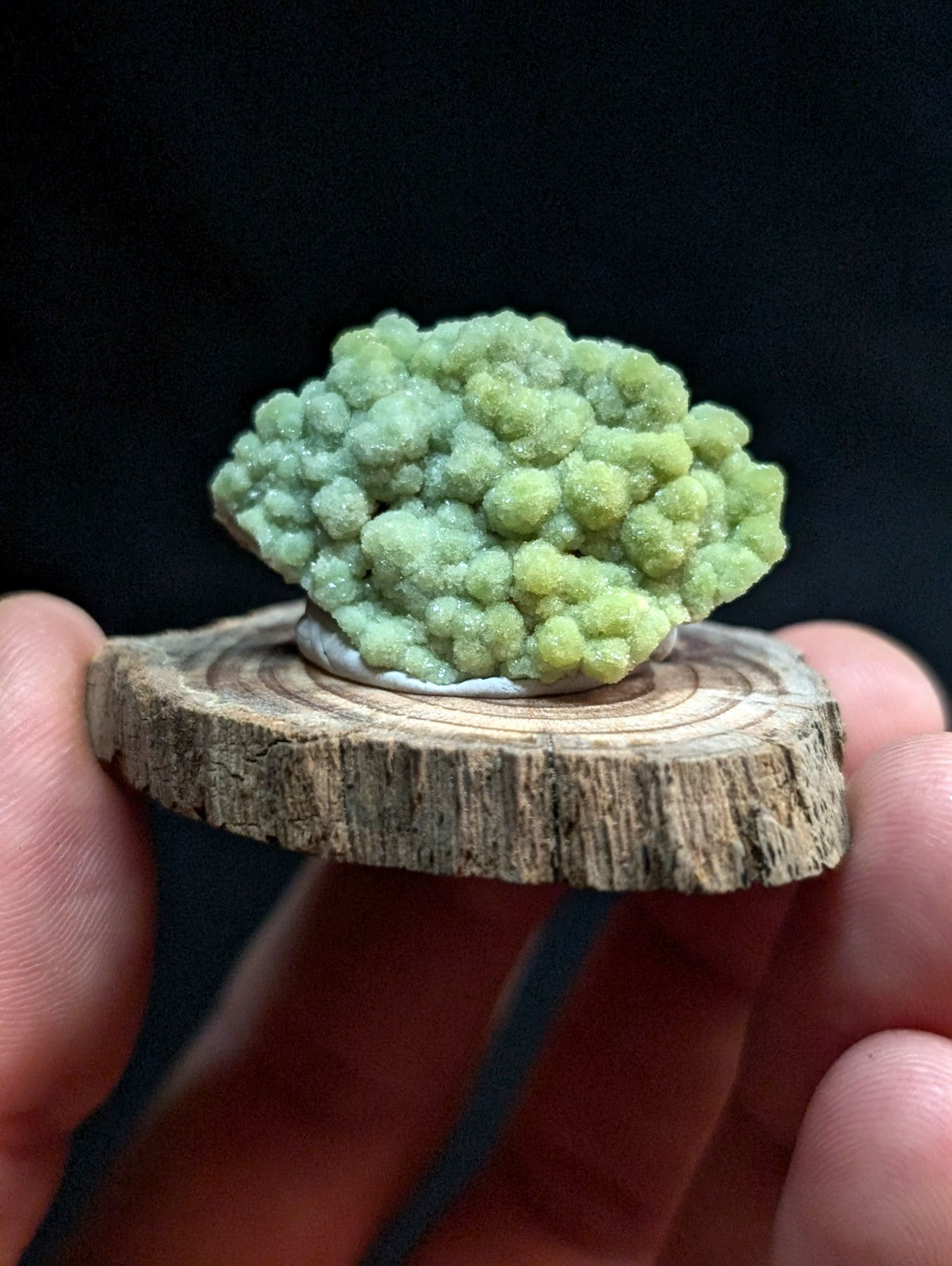 A vibrant green, bumpy mineral specimen with a crystalline texture rests on a rustic wooden slice.