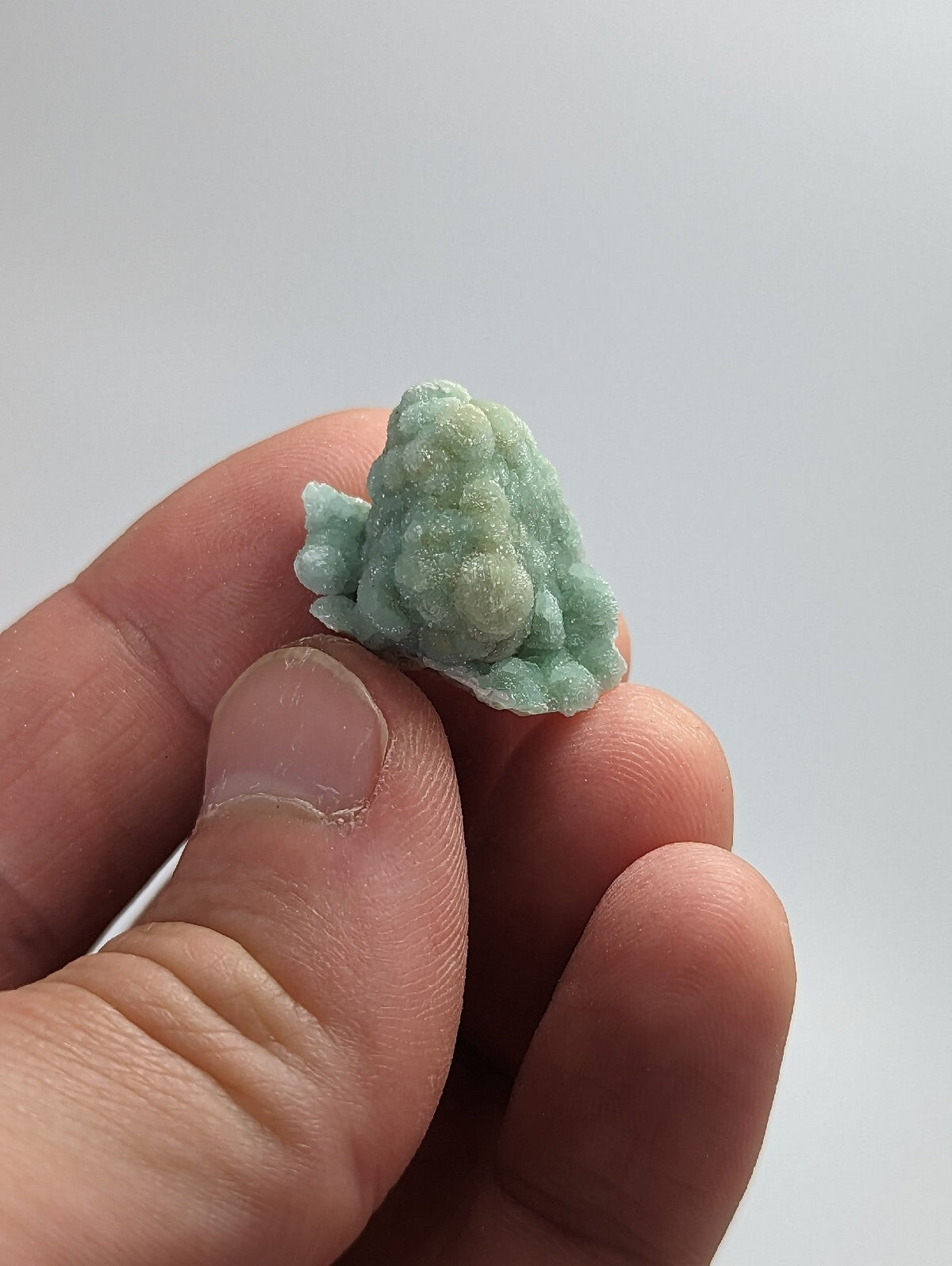 A small, mint-green, textured frog-shaped candy held between fingers.