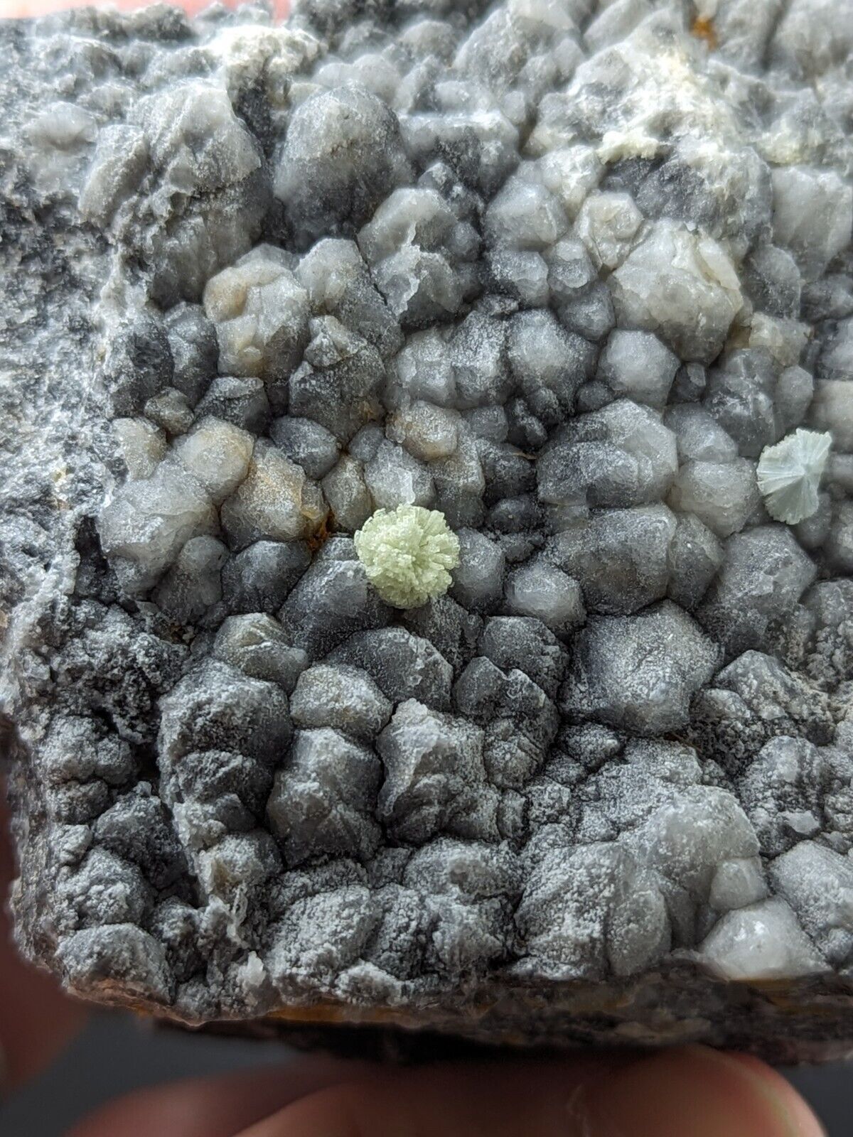 Wavellite on Grey Quartz - Mauldin Mountain Montgomery County Arkansas Rare - Collectibles:Rocks Fossils &