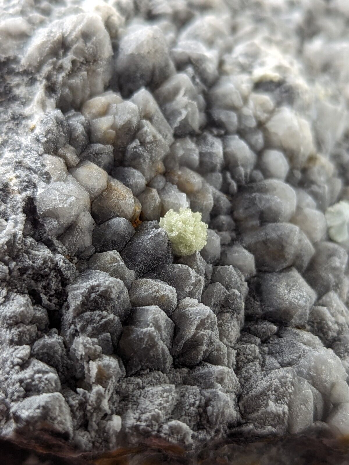 Wavellite on Grey Quartz - Mauldin Mountain Montgomery County Arkansas Rare - Collectibles:Rocks Fossils &