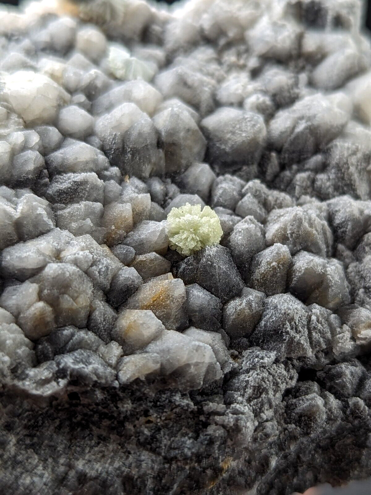 Wavellite on Grey Quartz - Mauldin Mountain Montgomery County Arkansas Rare - Collectibles:Rocks Fossils &