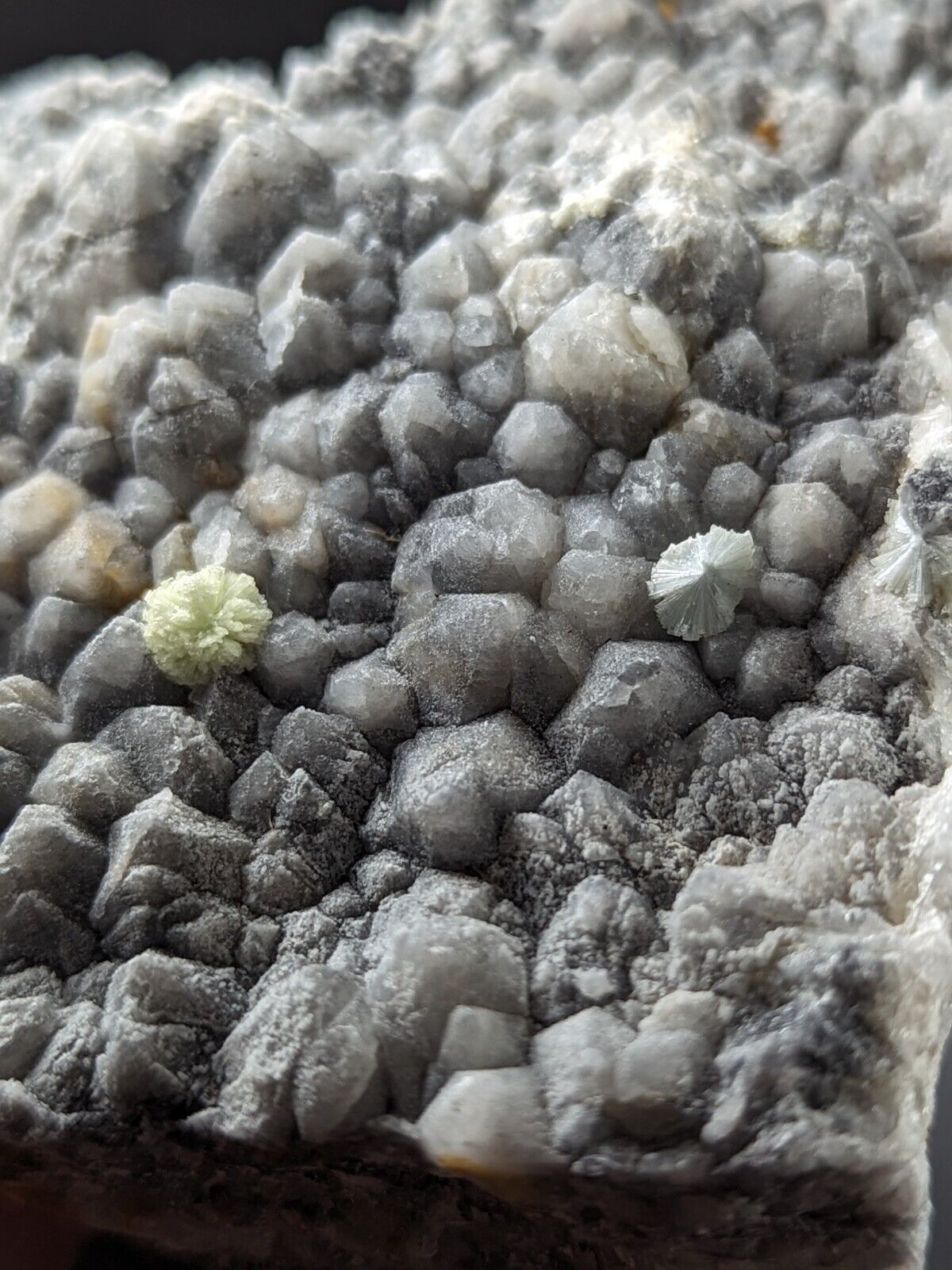 Wavellite on Grey Quartz - Mauldin Mountain Montgomery County Arkansas Rare - Collectibles:Rocks Fossils &