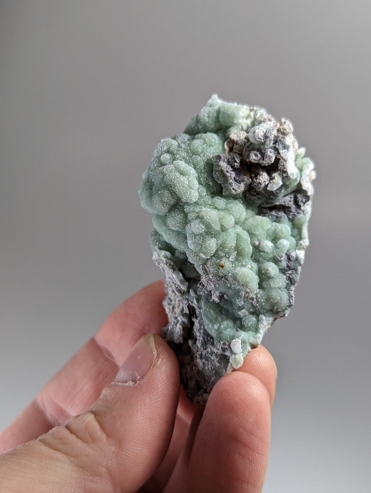 A hand holds a textured mineral specimen featuring light green, bubbly formations atop a darker gray base.