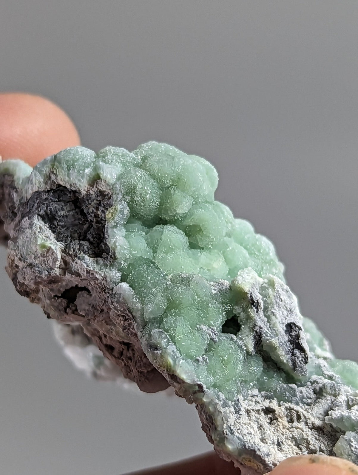 A cluster of translucent light green crystals growing from a dark, textured rock matrix.