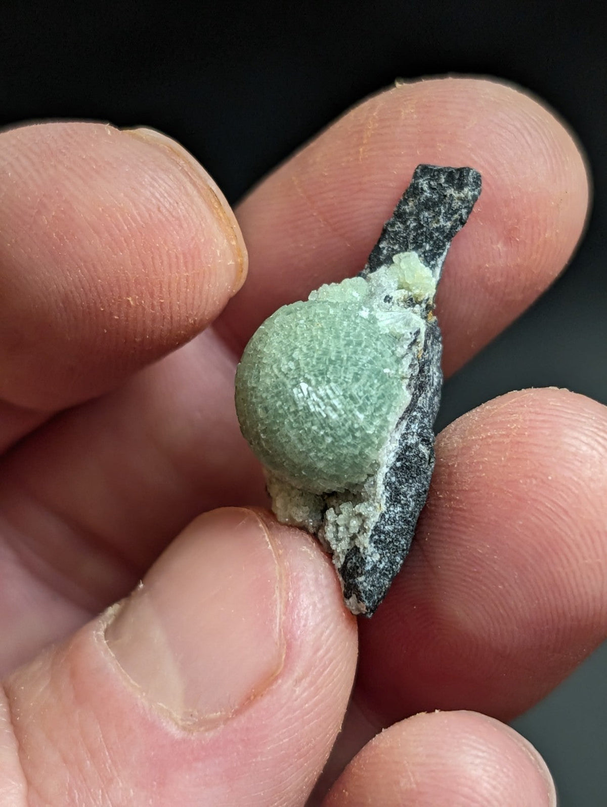 A smooth, light green spherical mineral specimen nestled within a dark gray rock matrix.