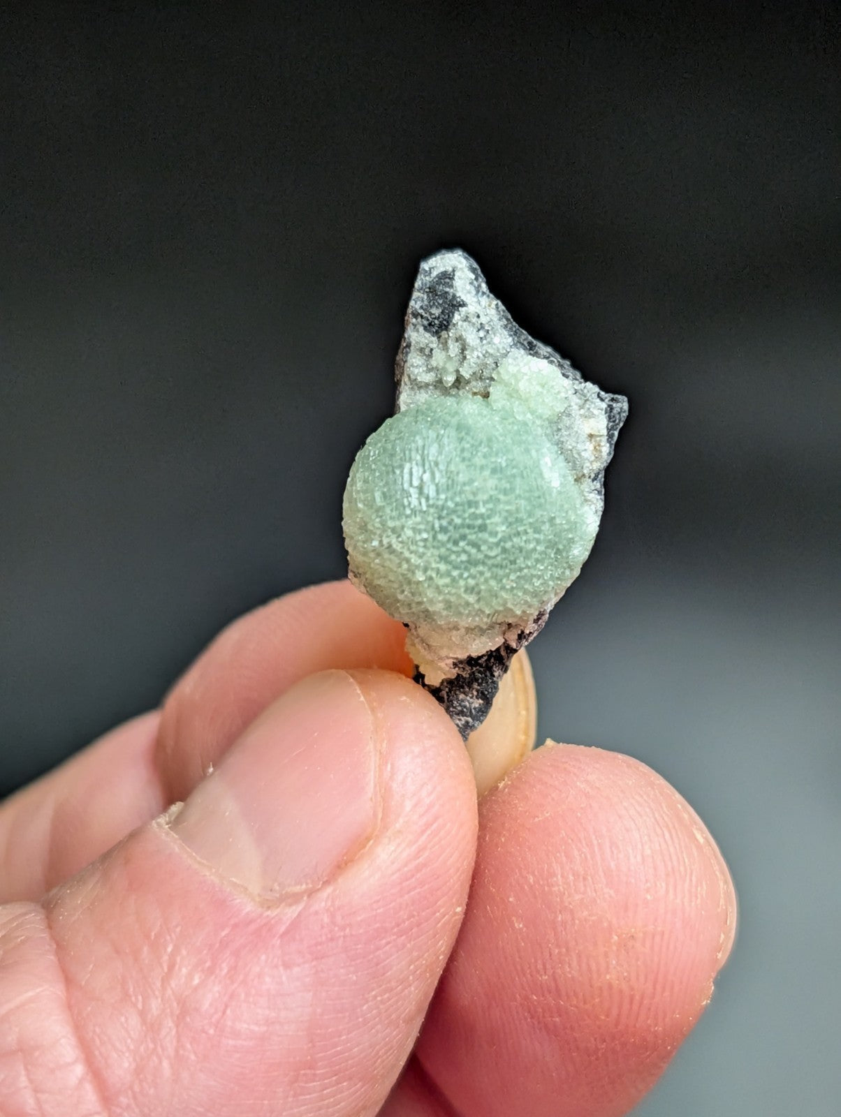 A small, round, light green mineral specimen with a textured surface and darkened base held between fingers.