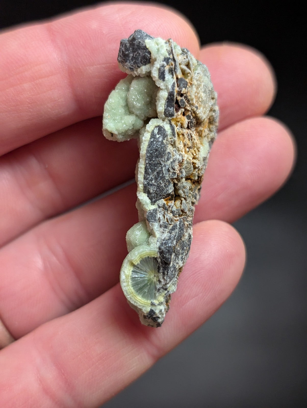 A hand holds a natural mineral specimen featuring light green, crystalline formations with dark gray matrix and one distinct circular cross-section.