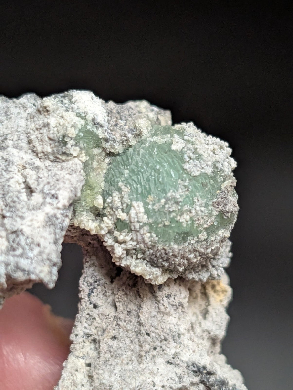 A translucent green mineral specimen embedded in a rough, grayish-white rock matrix.